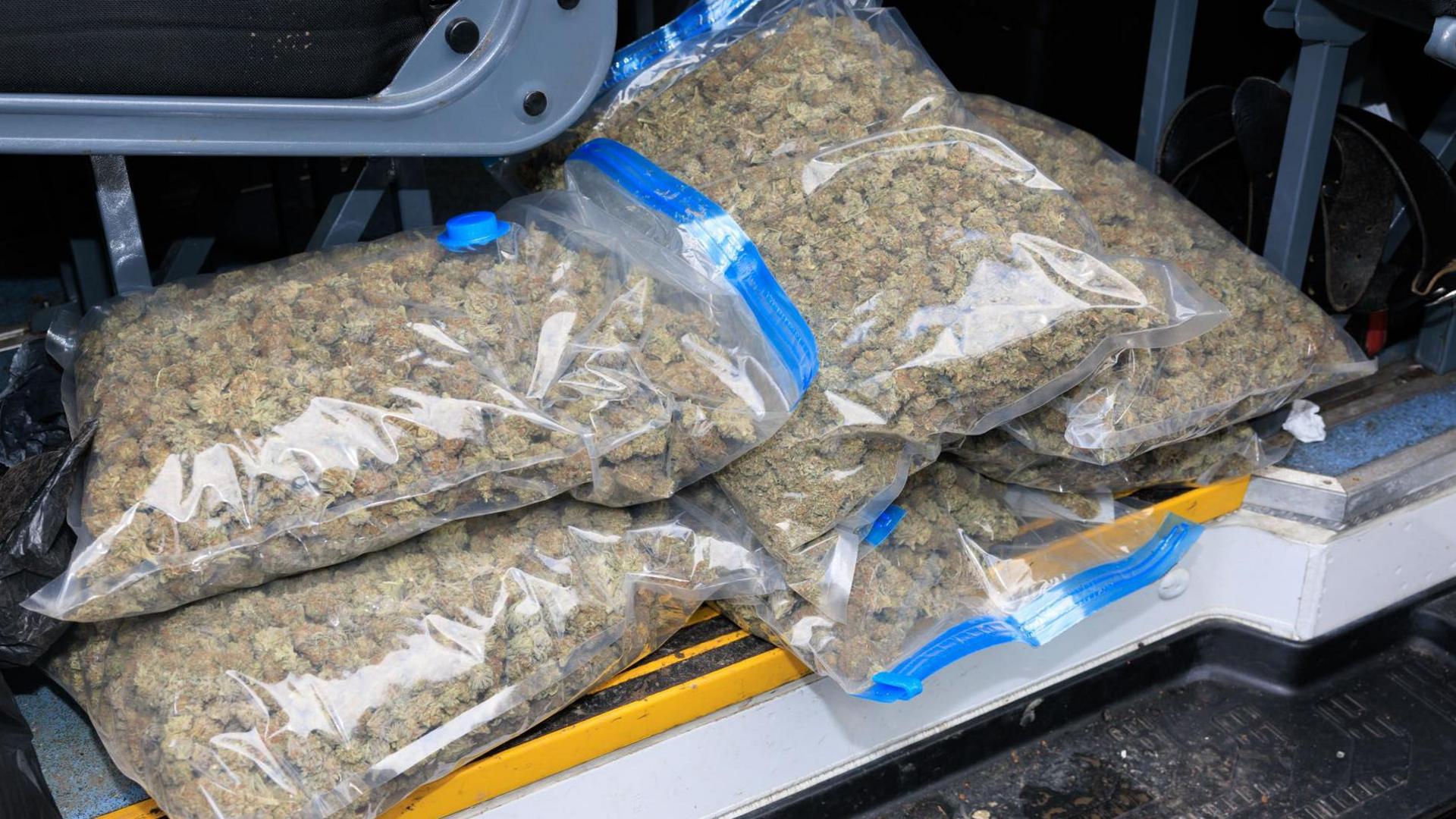 Cannabis in vaccuum bags, in the boot of a car 