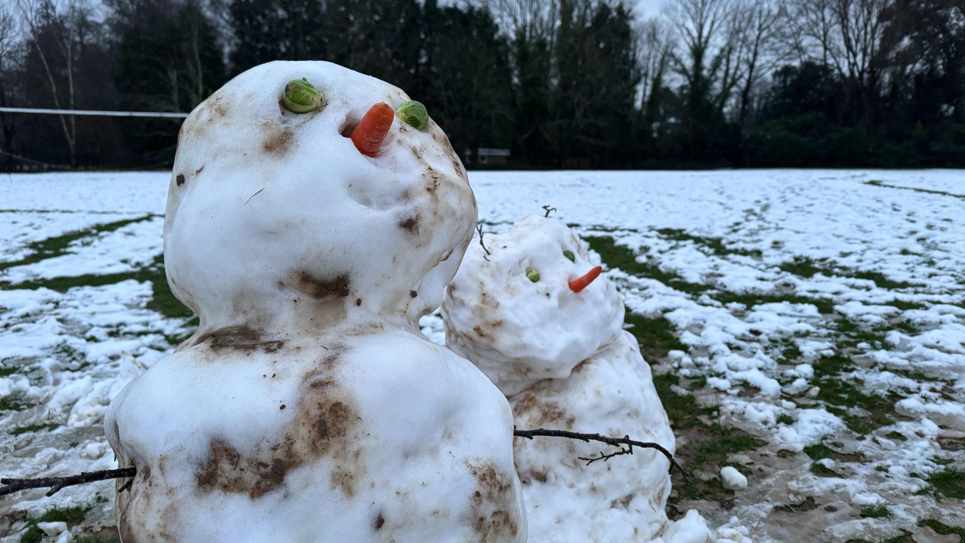 A snowman with brussel sprouts for eyes and a carrot for a nose. 