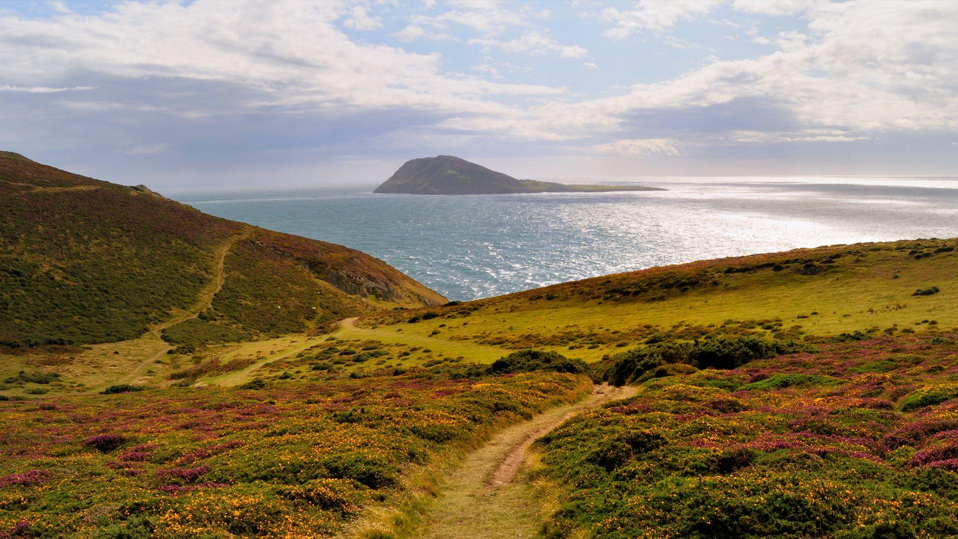 Ynys Enlli