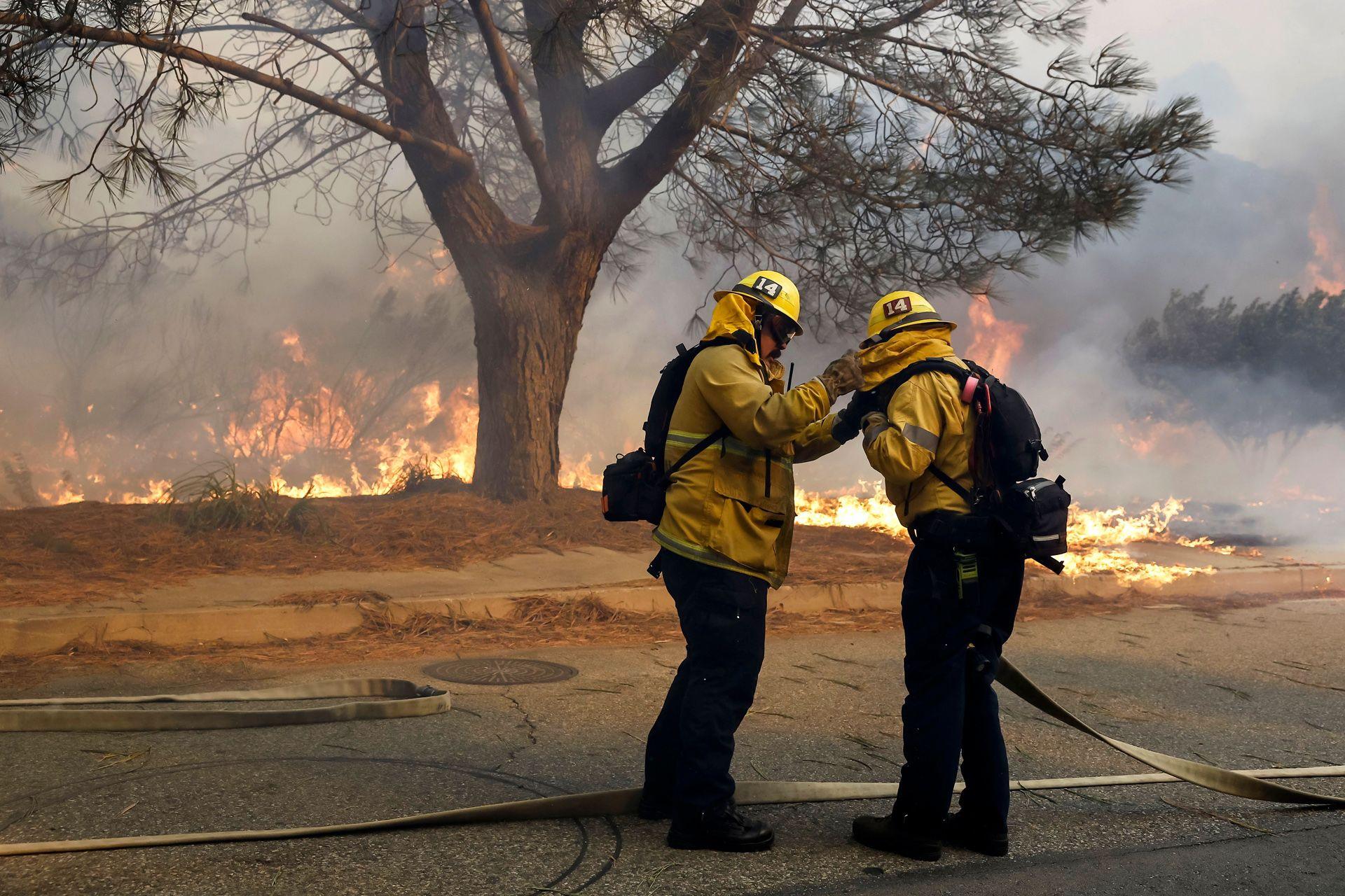 A firefighter helps their colleague wrap up in gear with burning forestry in the background in the Pacific Palisades.