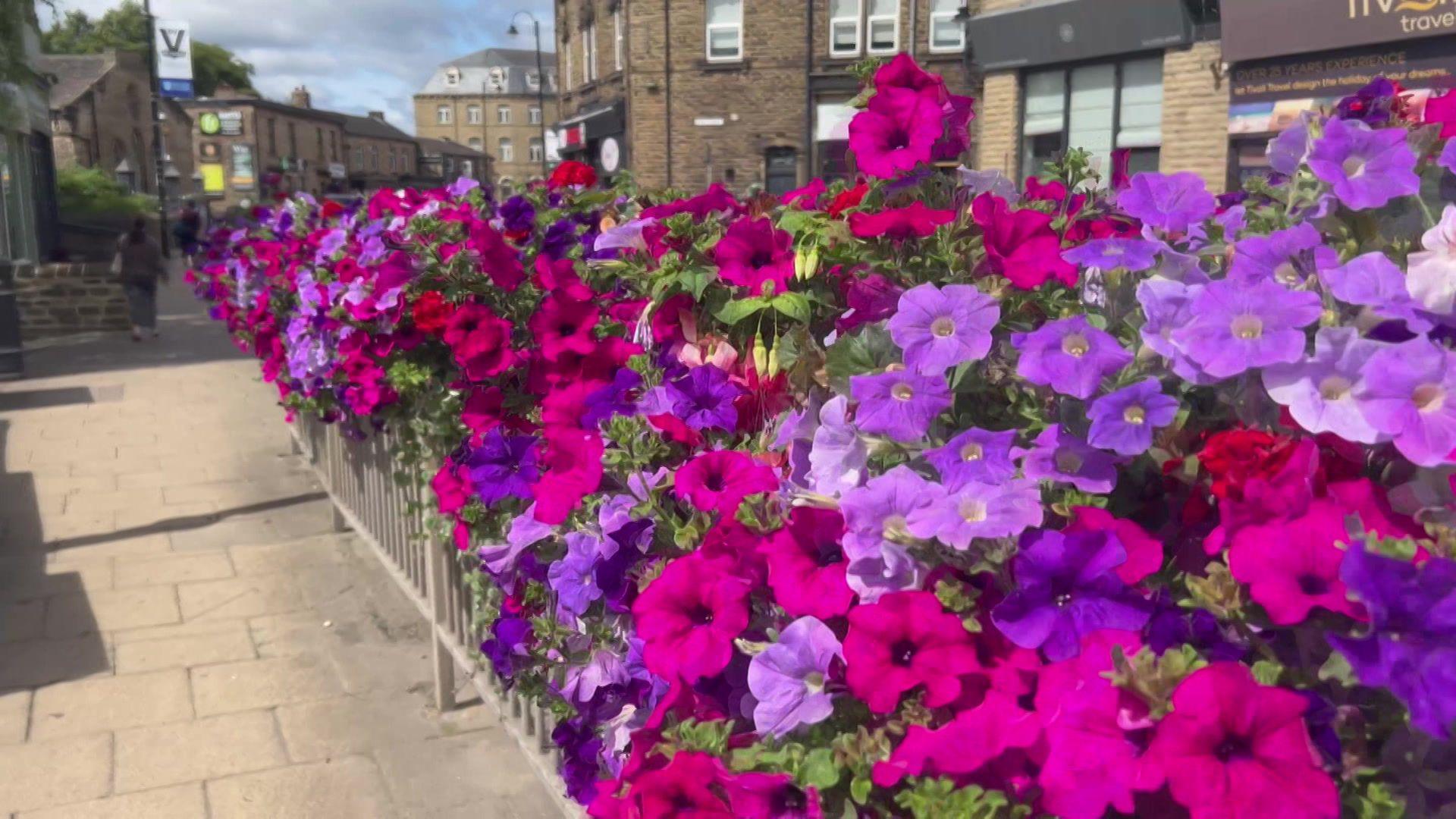 A row of brightly coloured flowers in planters along some railings on a sunny Mirfield street, with a pavement on the left and shops in the background.