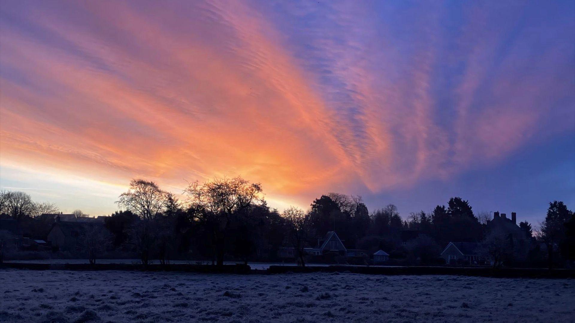 A purple sky in Cirencester at dawn, with a light covering of snow in the foreground and a row of trees silhouetted against the sky