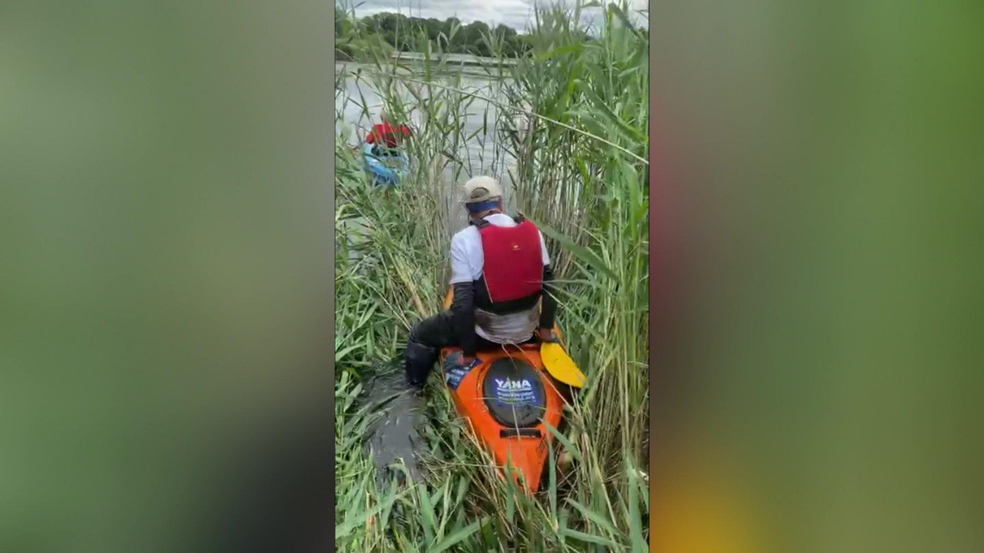 Man kayaking through thick reeds