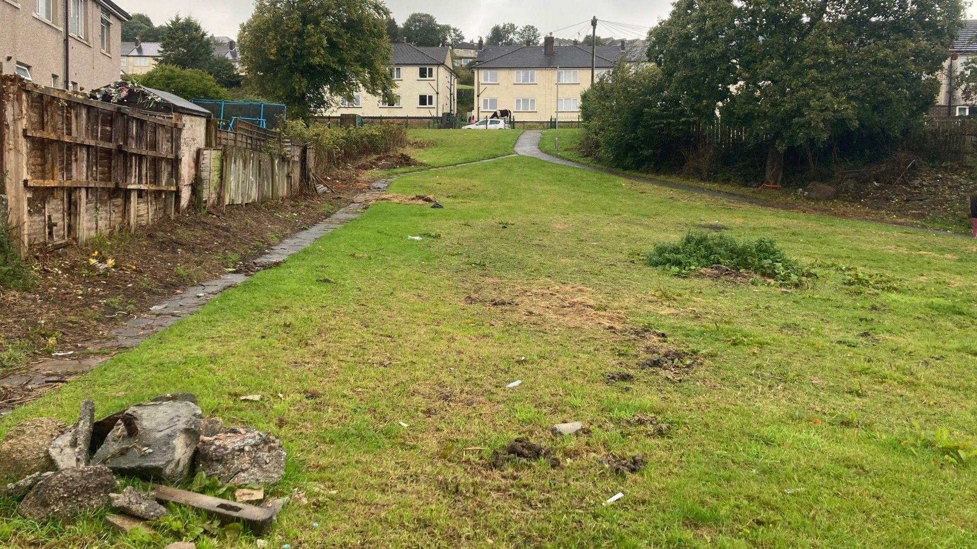 A row of houses with a patch of green grass and a tree in the distance.