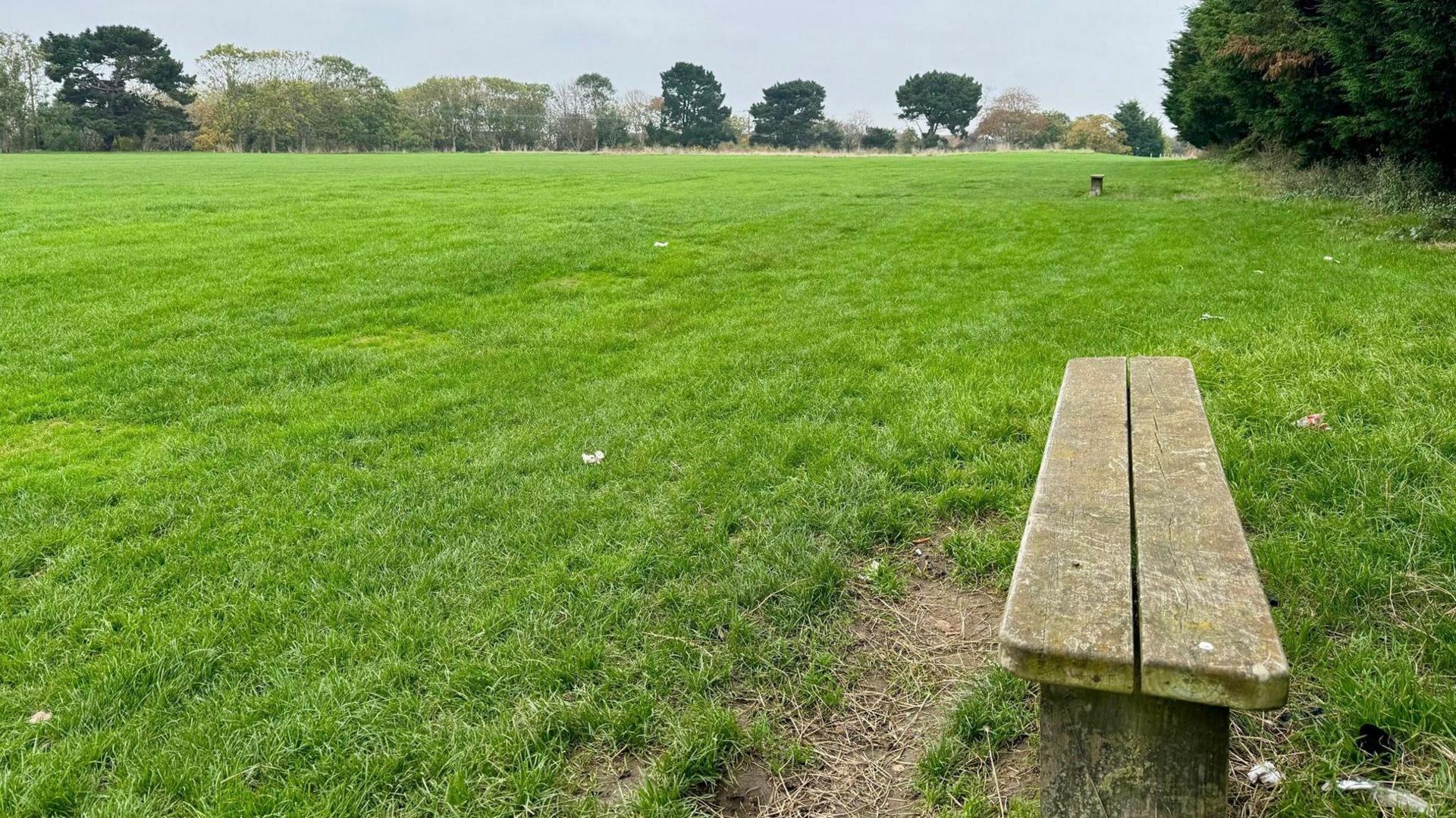 Image shows a wooden park bench in a field of grass, in the distance are some trees and shrubs.