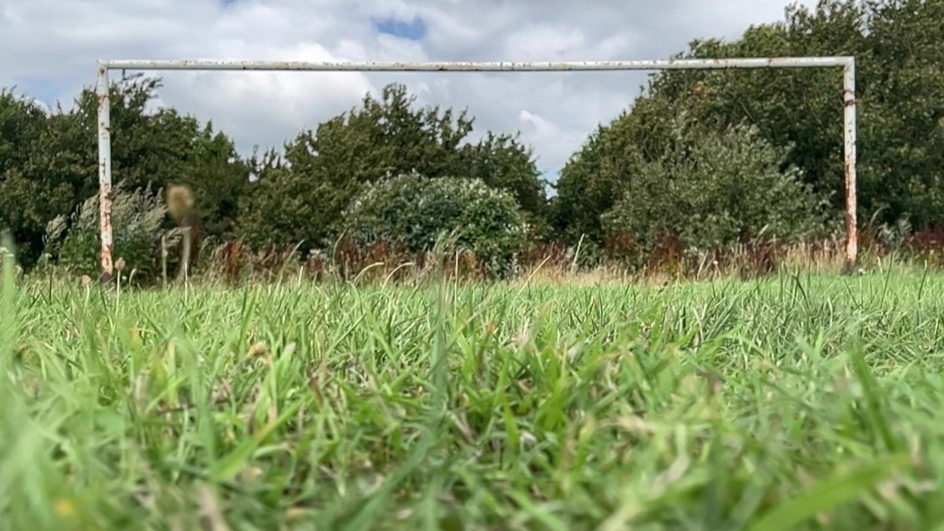 Goalpost and grass, with bushes in the background and blue sky.