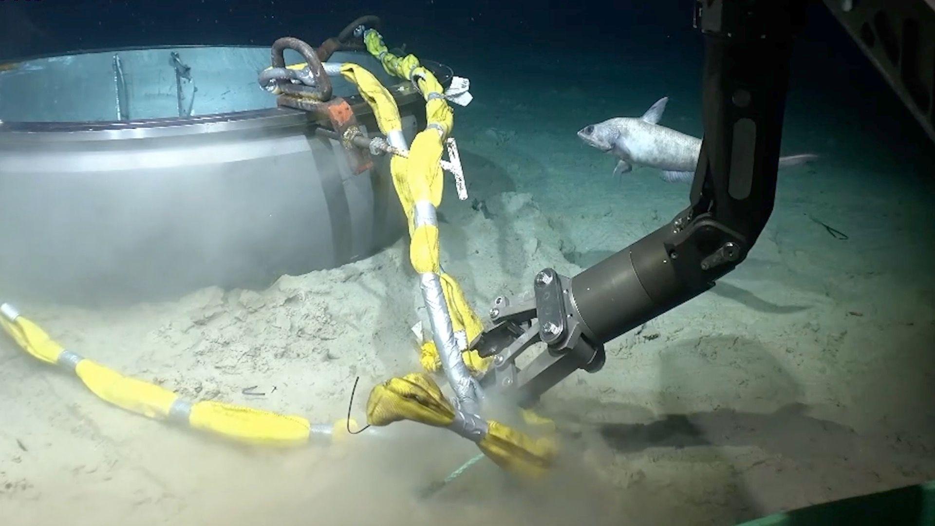 Robotic arm pulls at Titan wreckage as fish swims by 