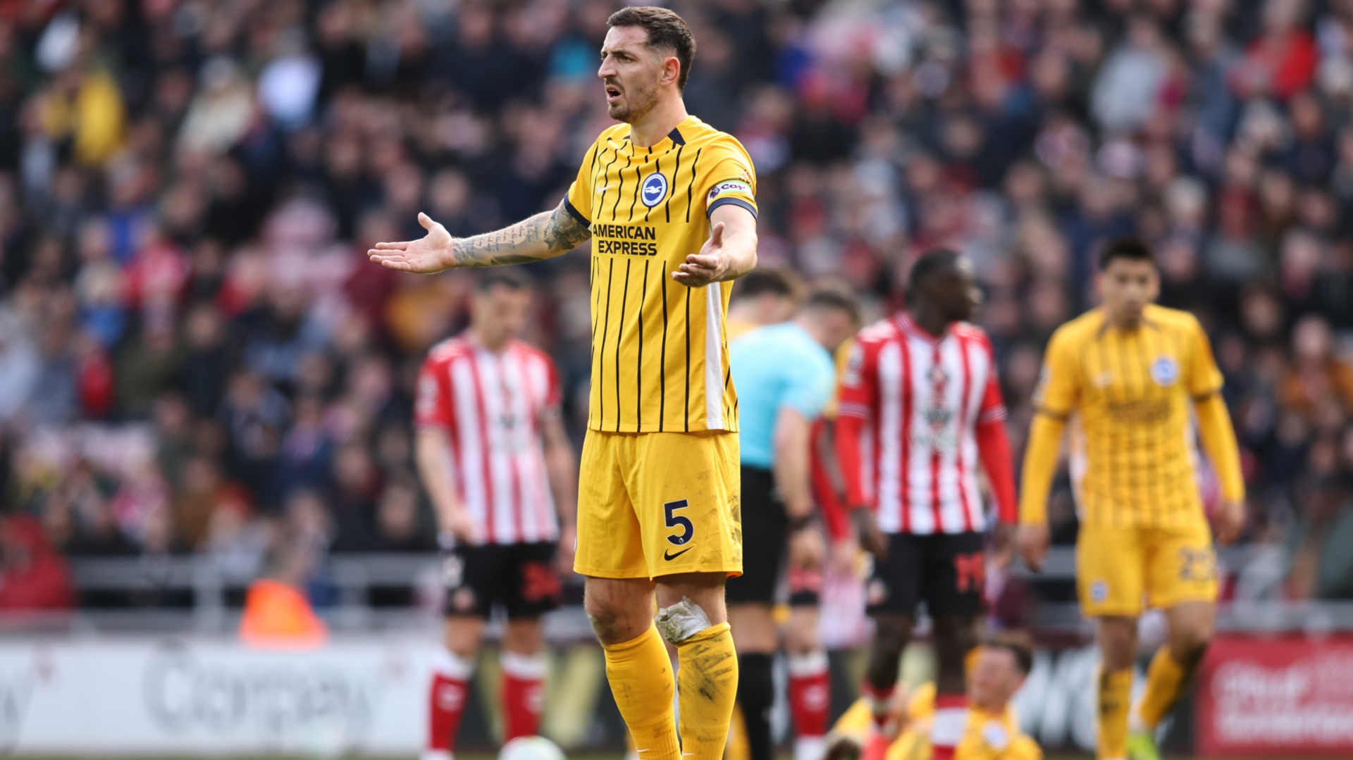 Lewis Dunk holds his arms out