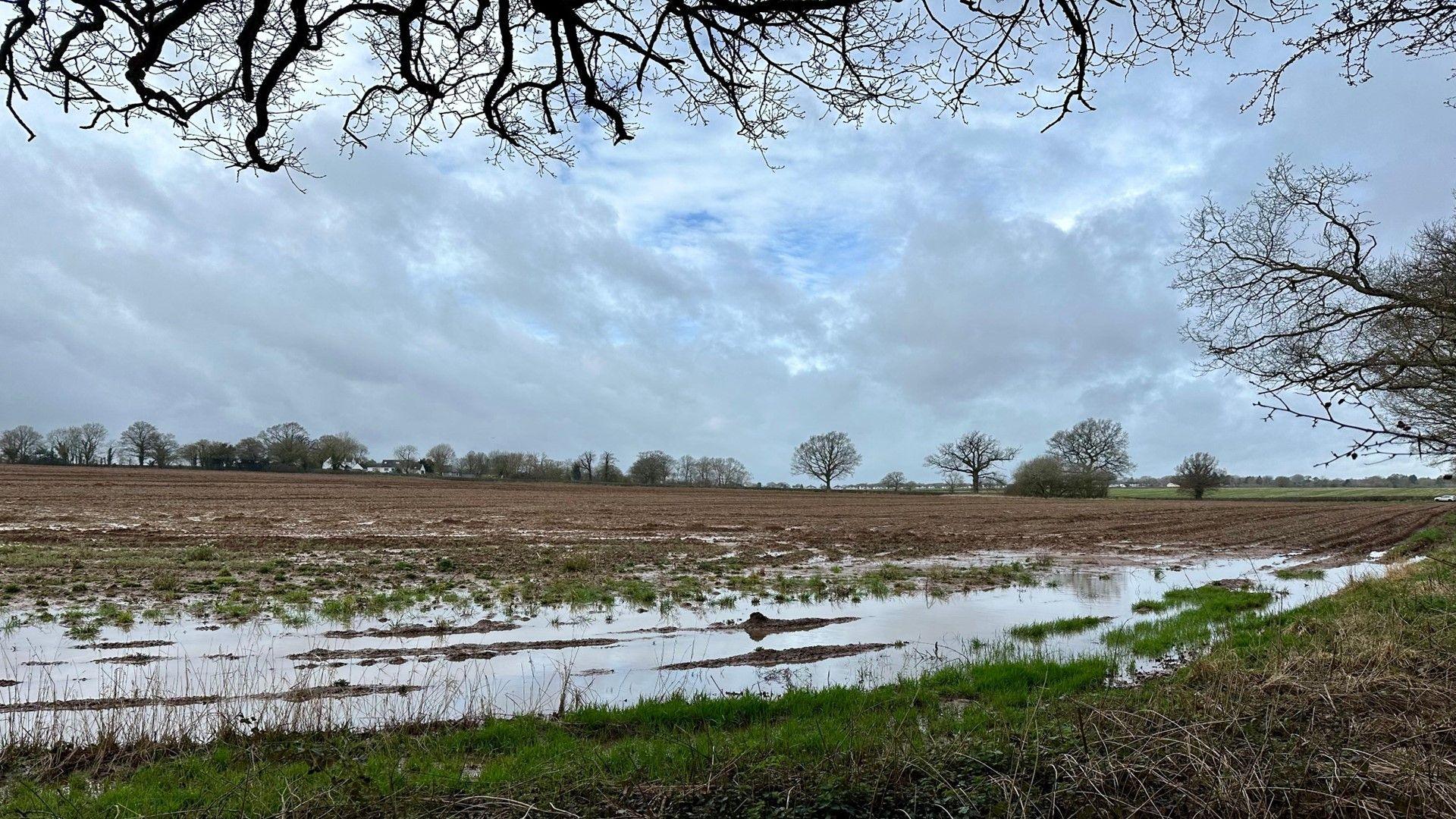 Muddy field with large puddles and grey sk