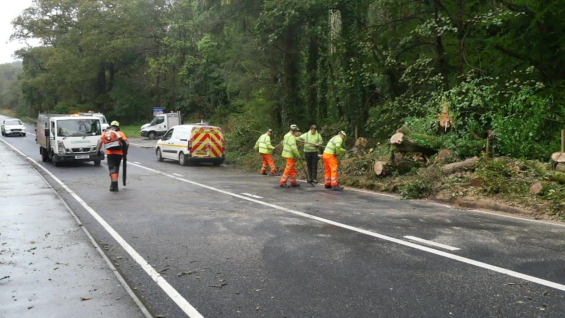 Various staff in bright orange trousers and high-vis jackets work to the right of the road clearing tree segments, with maintenance vehicles on the blocked road in the background. 