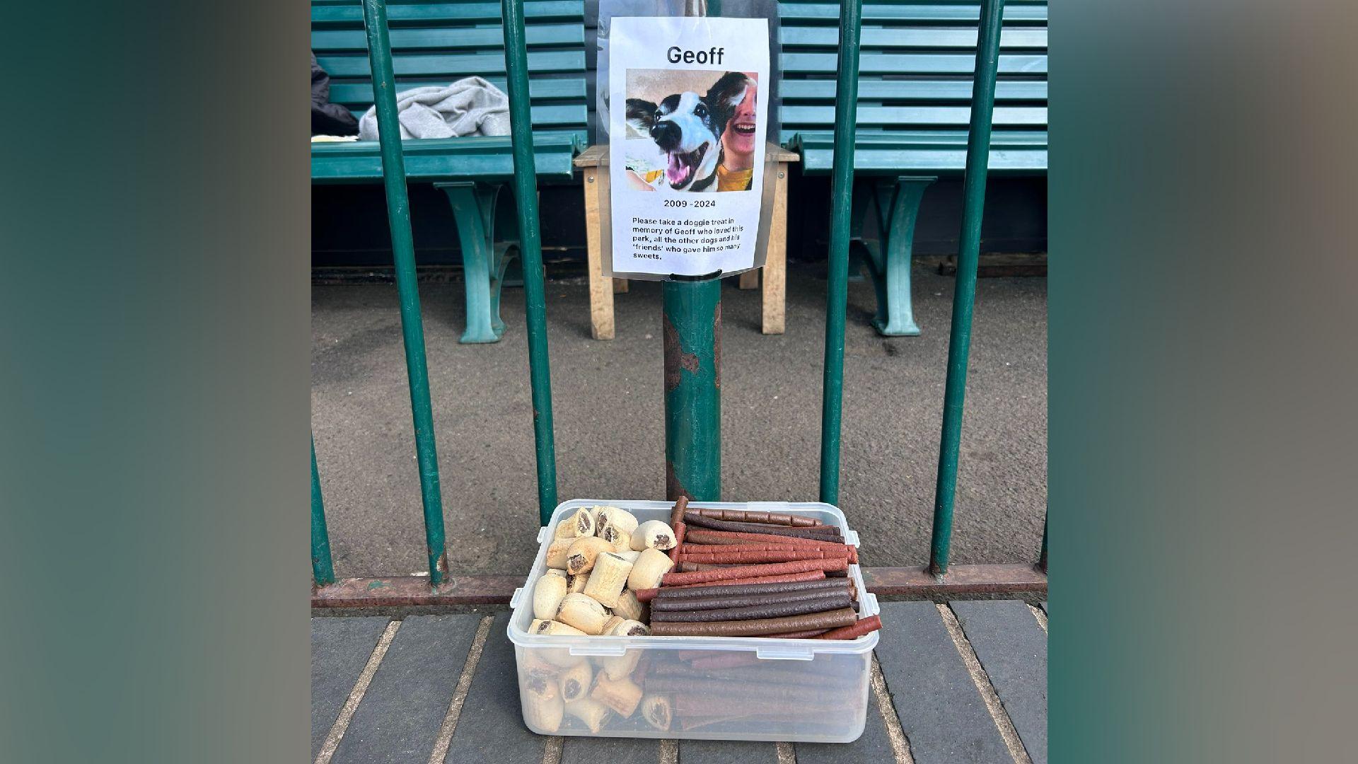 A bucket of dog treats alongside a photo of Geoff