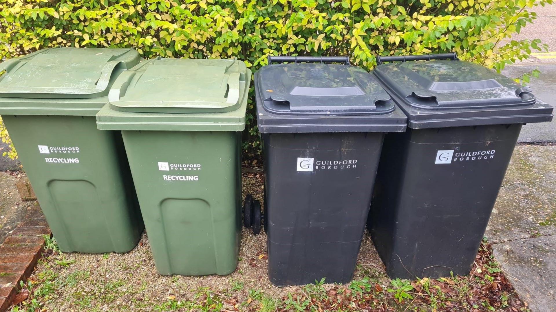 Four bins lined up. Two green bins on the left and two black bins on the right. All bins read 'Guildford Borough' in white writing. They are on stones with a leafy bush behind it. 