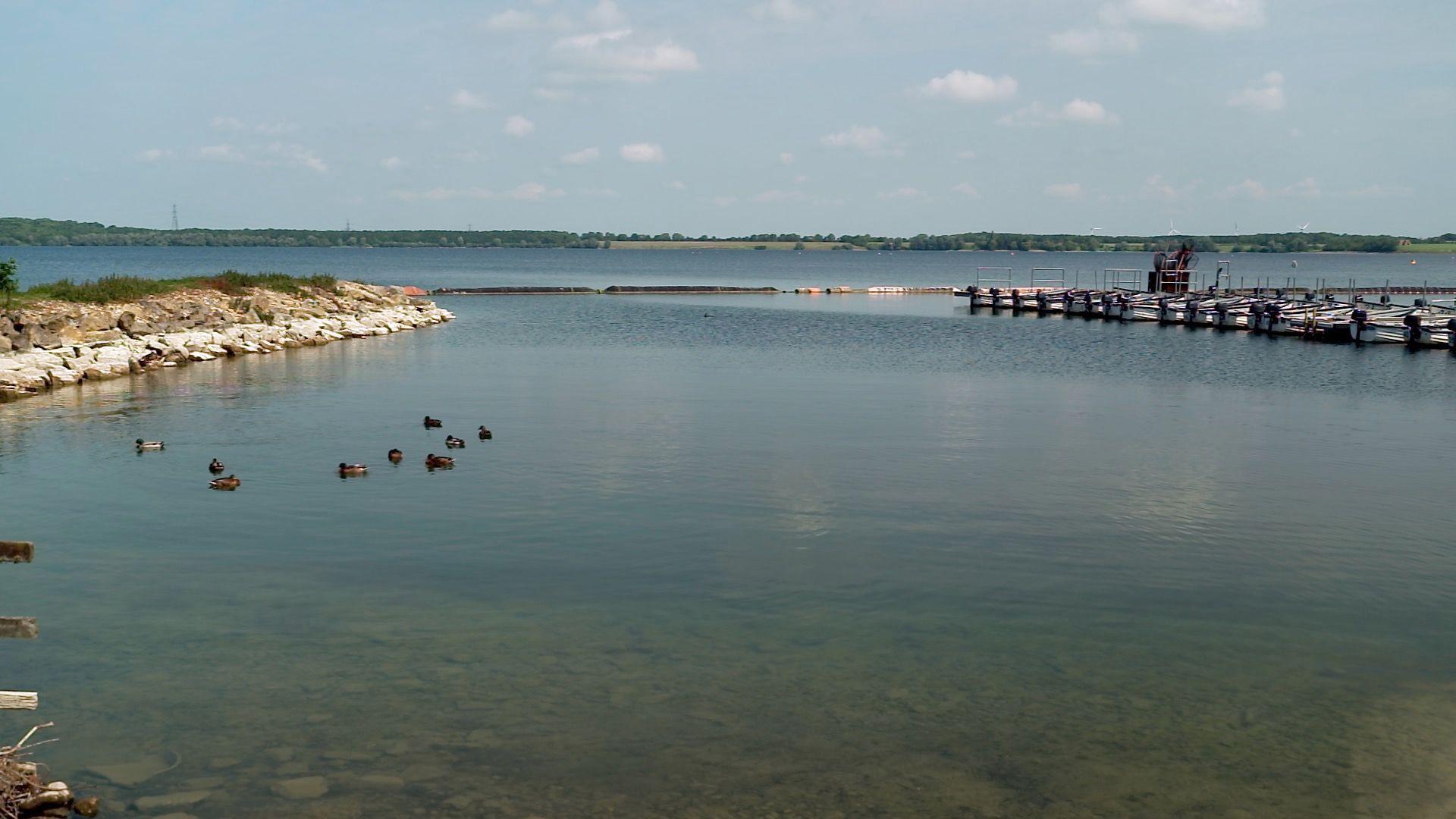 A view over a large body of water. On a bright sunny day, with a few small white clouds in the sky, about 10 ducks can be seen on the water in the foreground. The edge of the lake can be seen on the left of the picture, with rocks meeting the water and some grass above the rocks. On the right of the image, stretching out into the lake, is a pontoon, with some small boats moored onto it. The other side of the lake can be seen in the far distance on the horizon, which looks to be covered in trees, with some grassy fields.