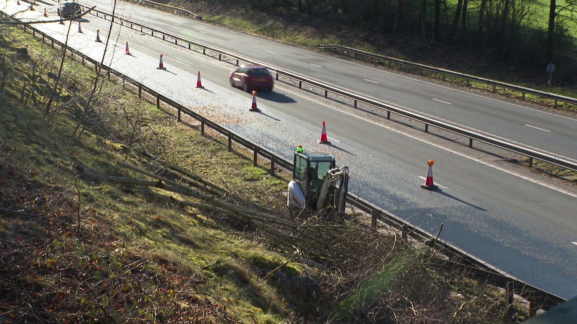 An excavator moving trees by the side of the road