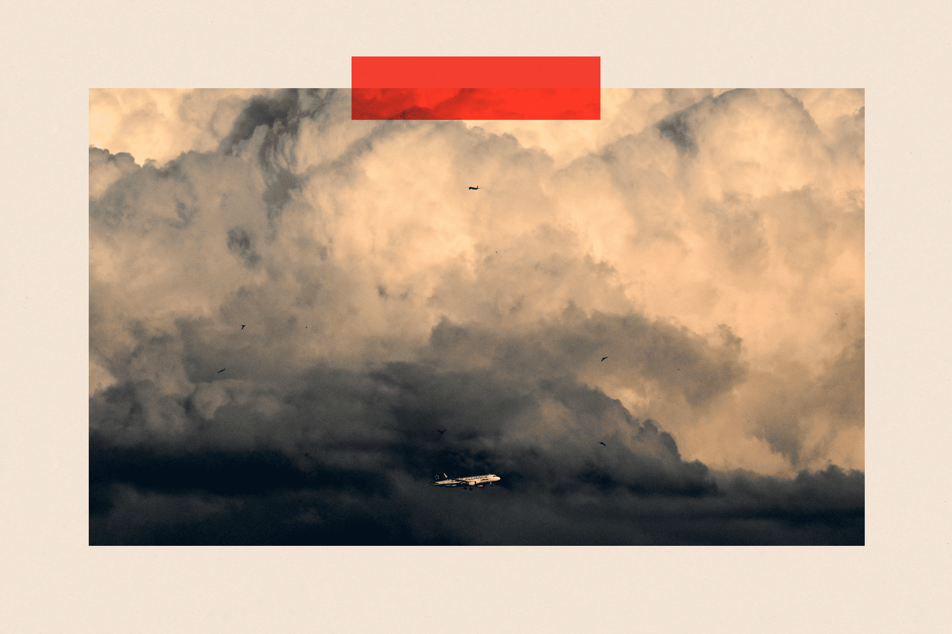 Birds fly near an aircraft of German airline Lufthansa in front of a cloudy sky