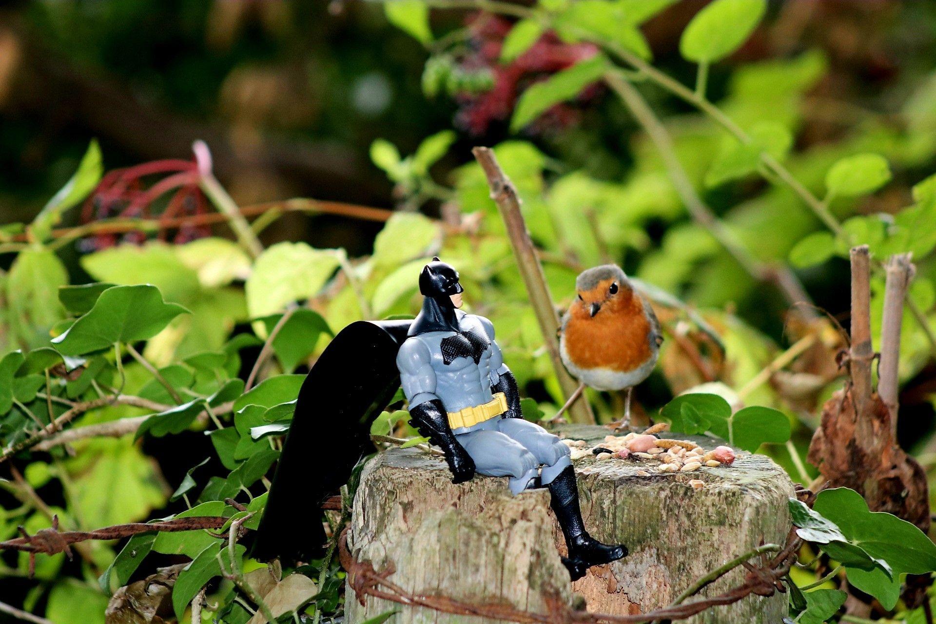 A batman figurine, with a grey suit and black bat emblem on the chest placed next to a Robin redbreast- made to look like they are together. They are on a wooden stump with green leaves behind them.