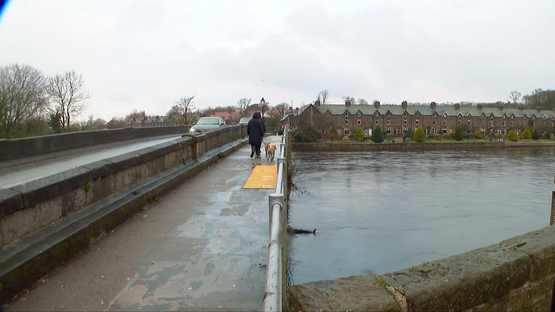 A walkaway attached to a stone bridge. A pedestrian is walking with a dog over the crossing, with housing in the background. 