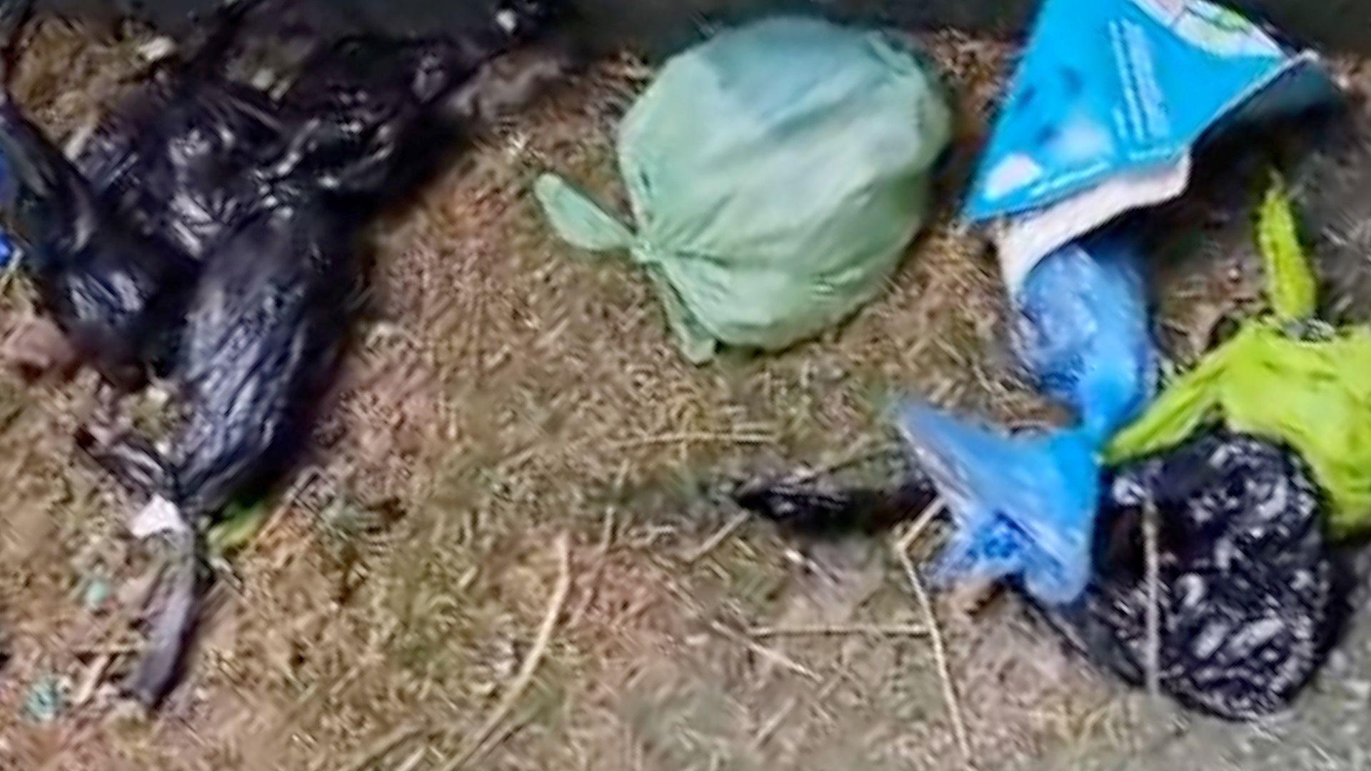 Bags of rubbish