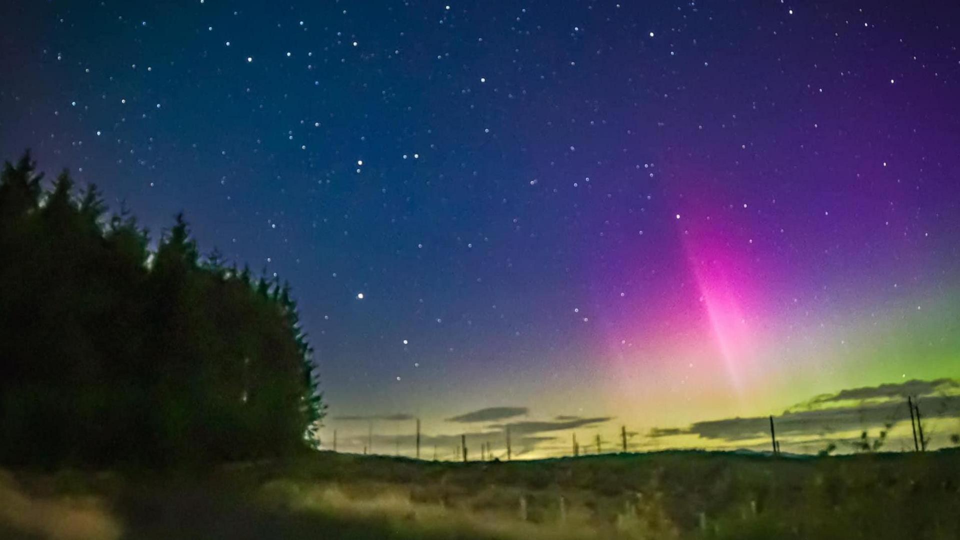 A shaft of pink light in a starry sky with woods to one side 