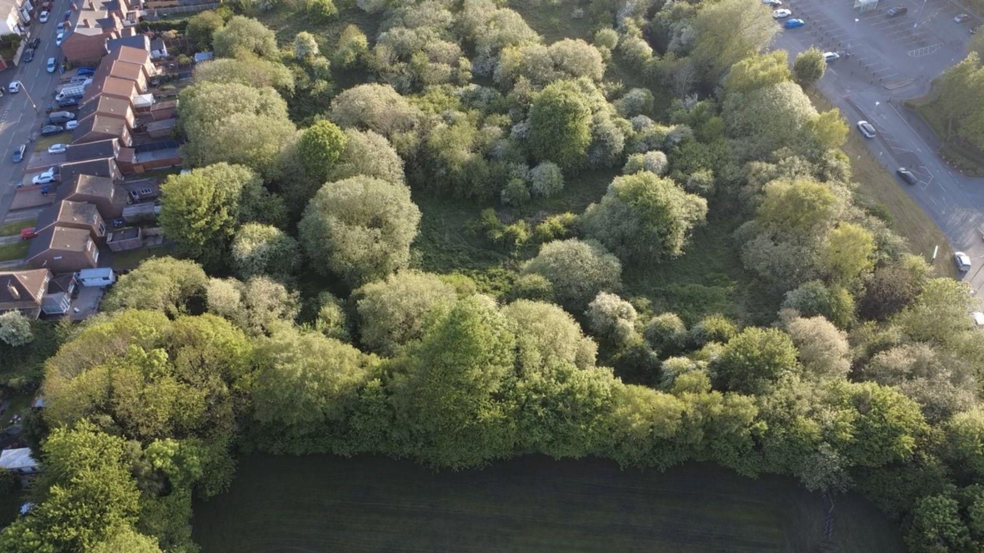 The wildlife corridor behind homes on Titford Road in Oldbury. There are lots of trees and green space. Homes can be seen on one side of the green area and cars on the other.