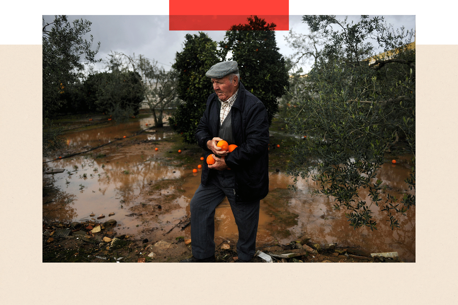 A man recovers oranges from a tree, with the ground flooded below
