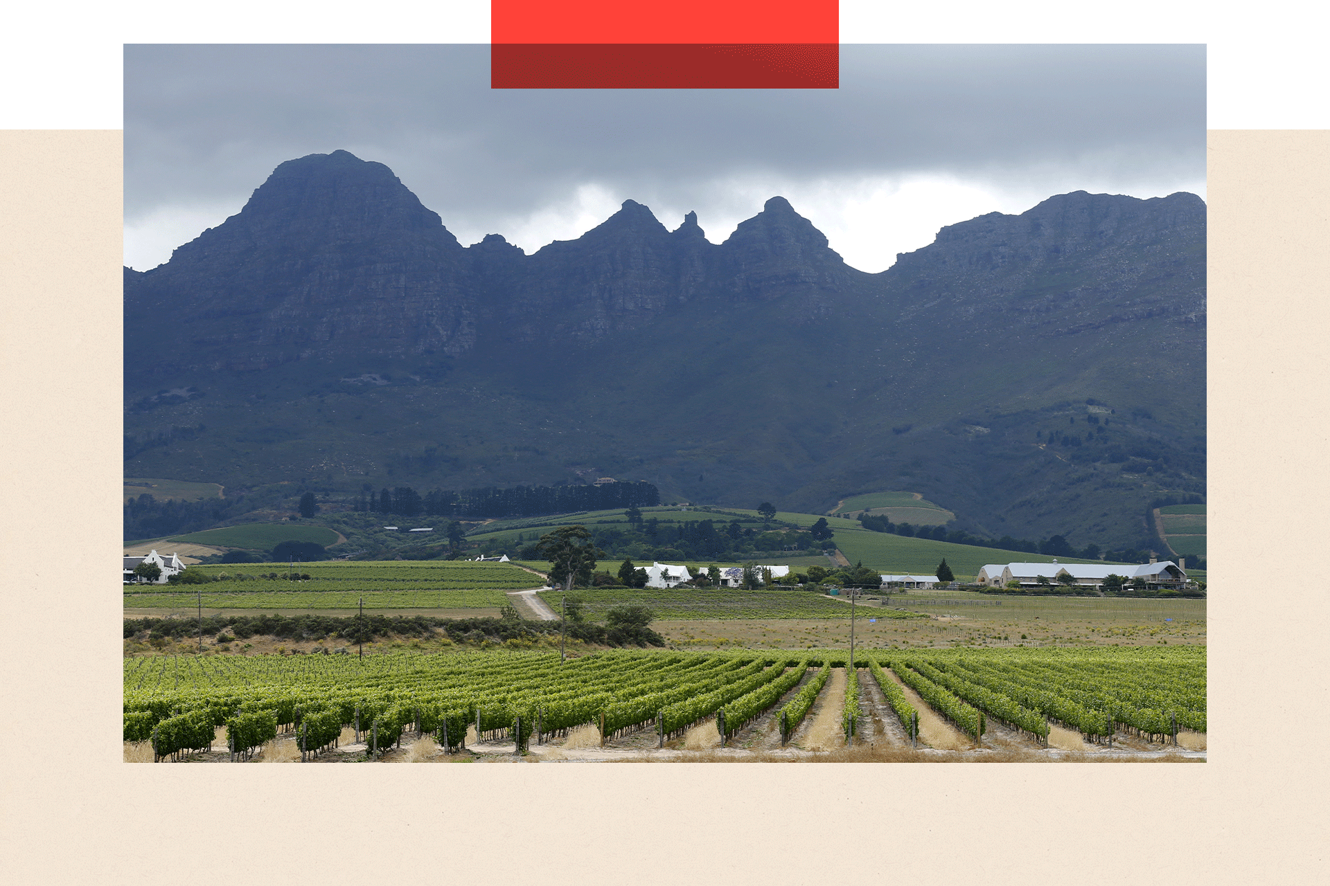 Vineyards sit beneath hills at a farm in South Africa