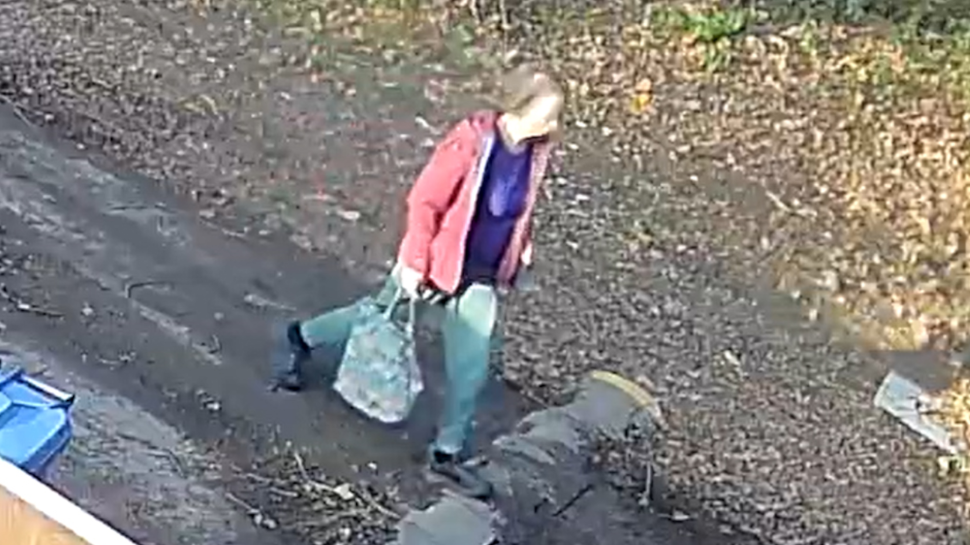CCTV footage of Christine Murton who has short brown hair and is wearing a purple T-shirt and carrying a bag.