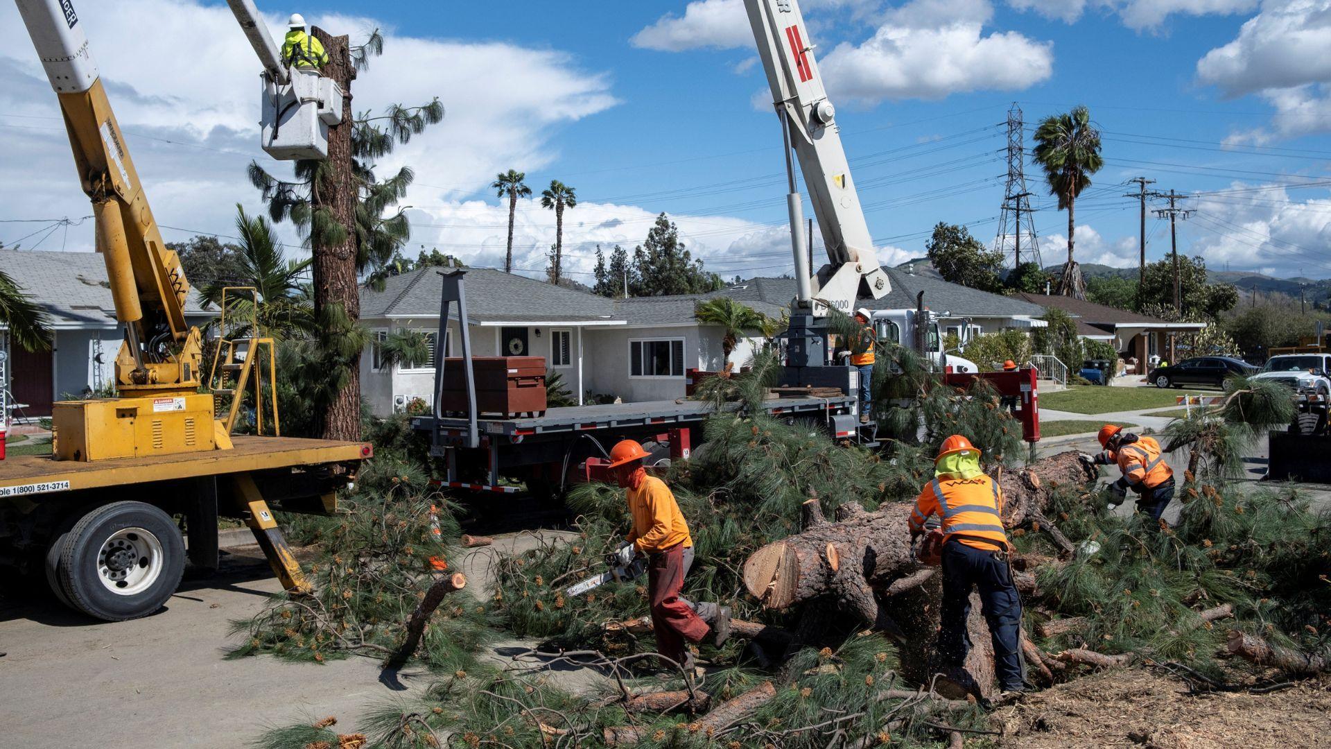 Workers remove damaged trees in Southern California