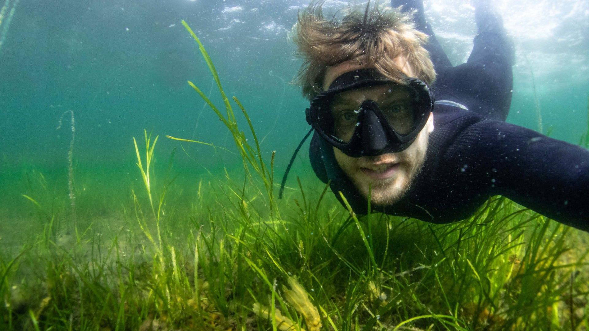 Dr Benjamin Jones diving in a seagrass meadow. 