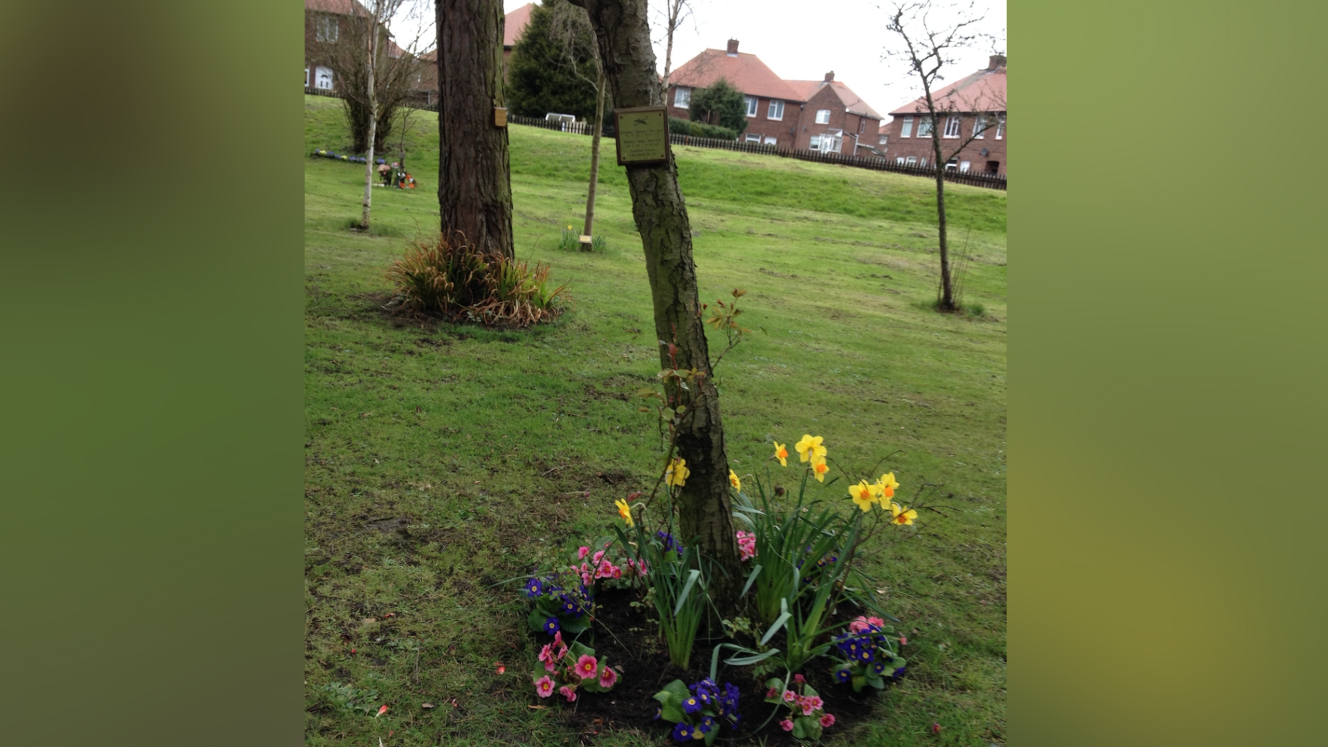 Memorial tree