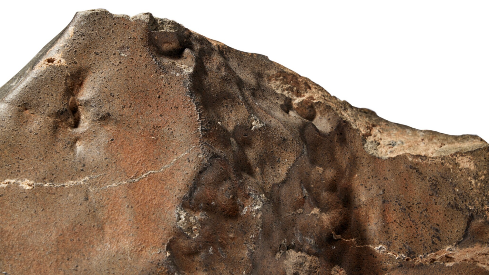 Martian Meteorite NWA 16788.
