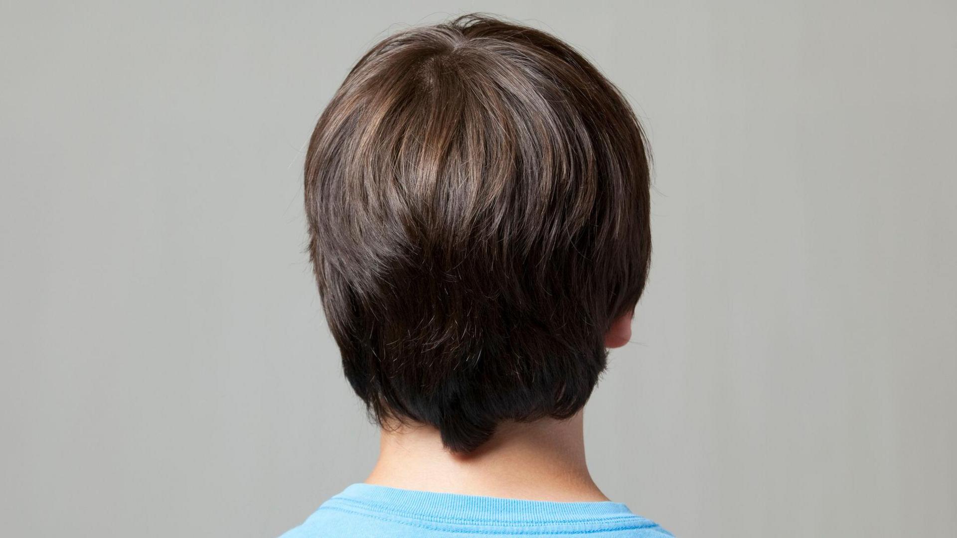 The back of a boy's head. 