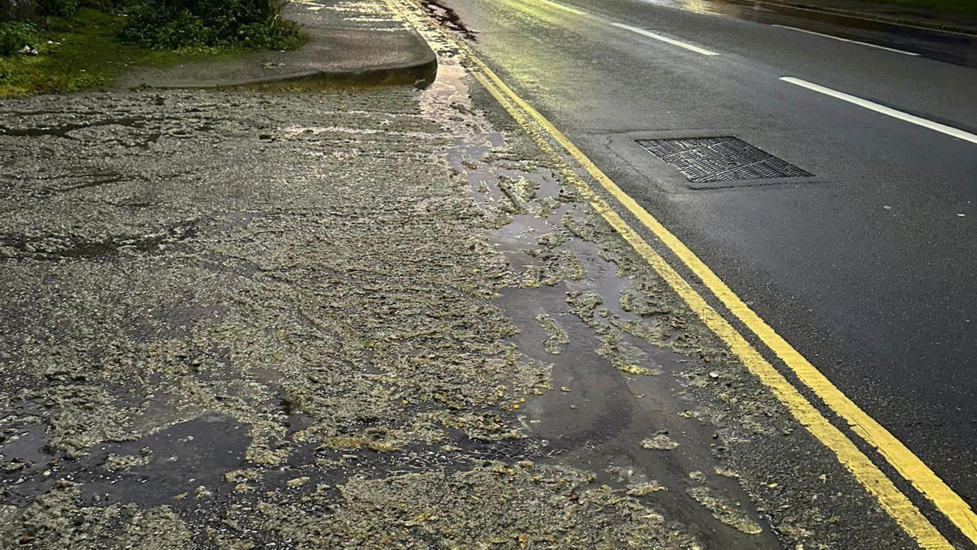 Green sewage flowing into a path and road