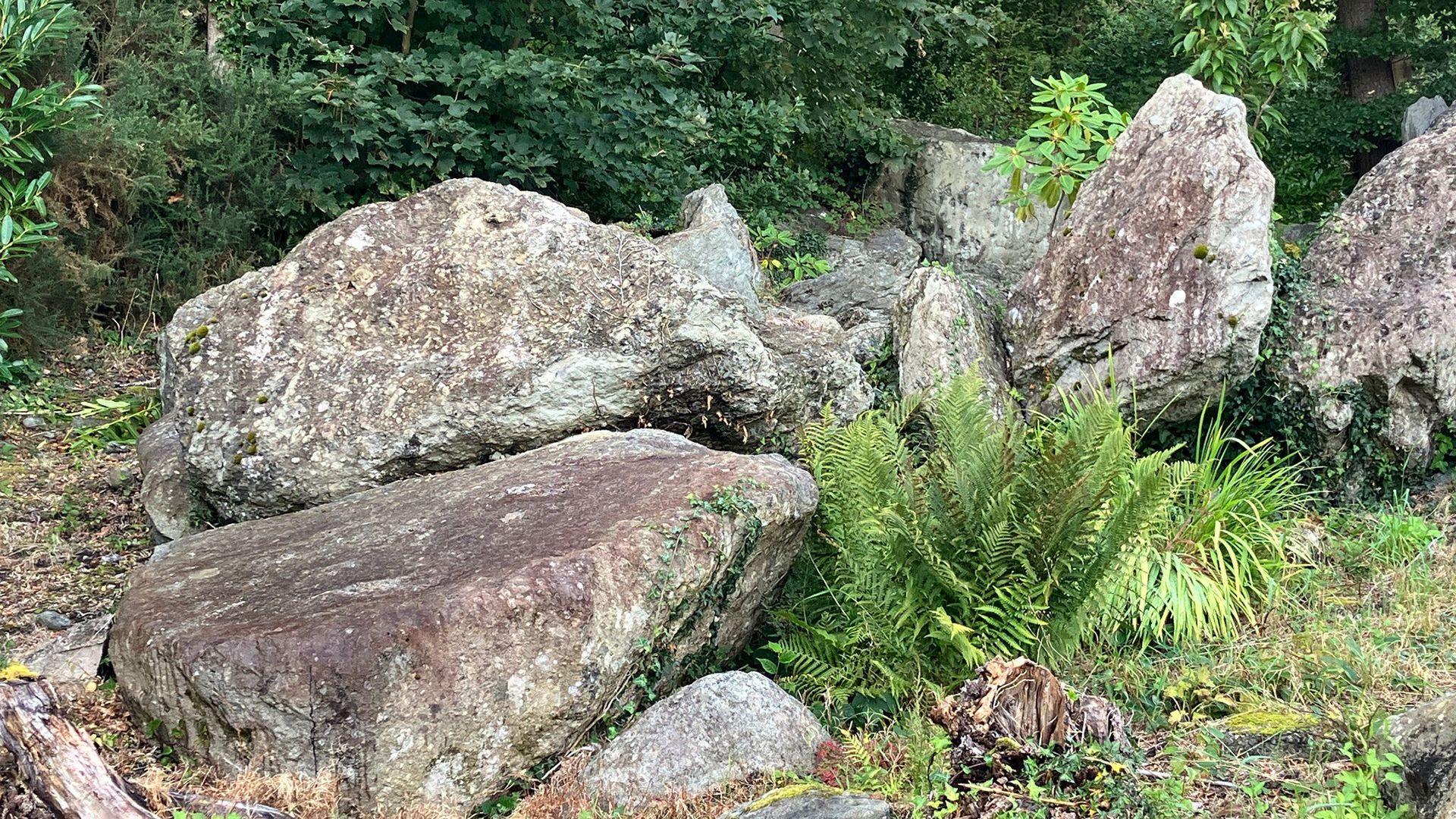 Cerrig mawr yn Nolgarrog