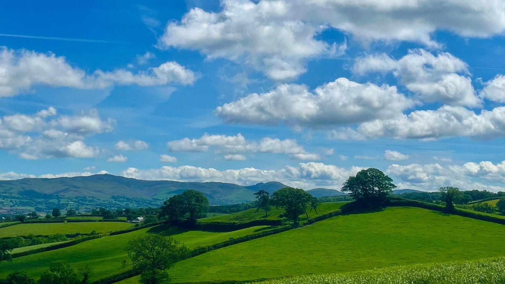 Rolling fields with blue skies and patchy cloud overhead