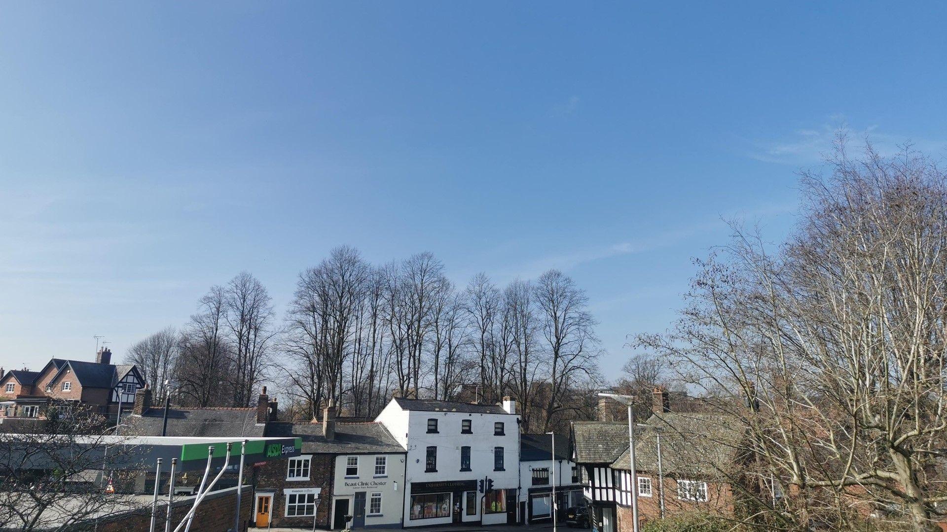 Blues skies over a street with shops and bare trees.