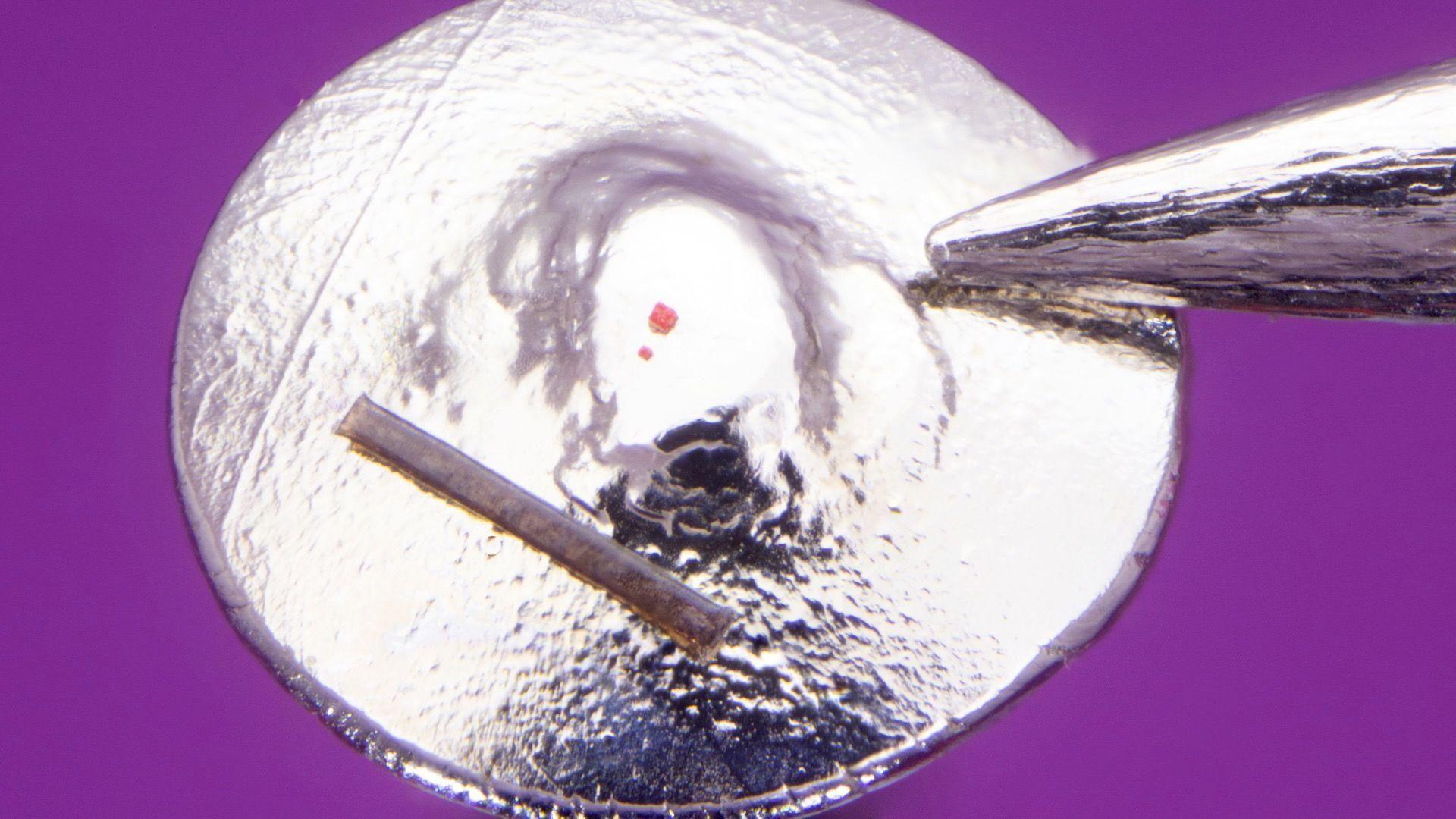 A silver disc holds the two microscopic red Lego bricks on it, with a brown rectangular strip - the strand of hair - to the side and the head of a needle leaning against it. The background of the image is purple.