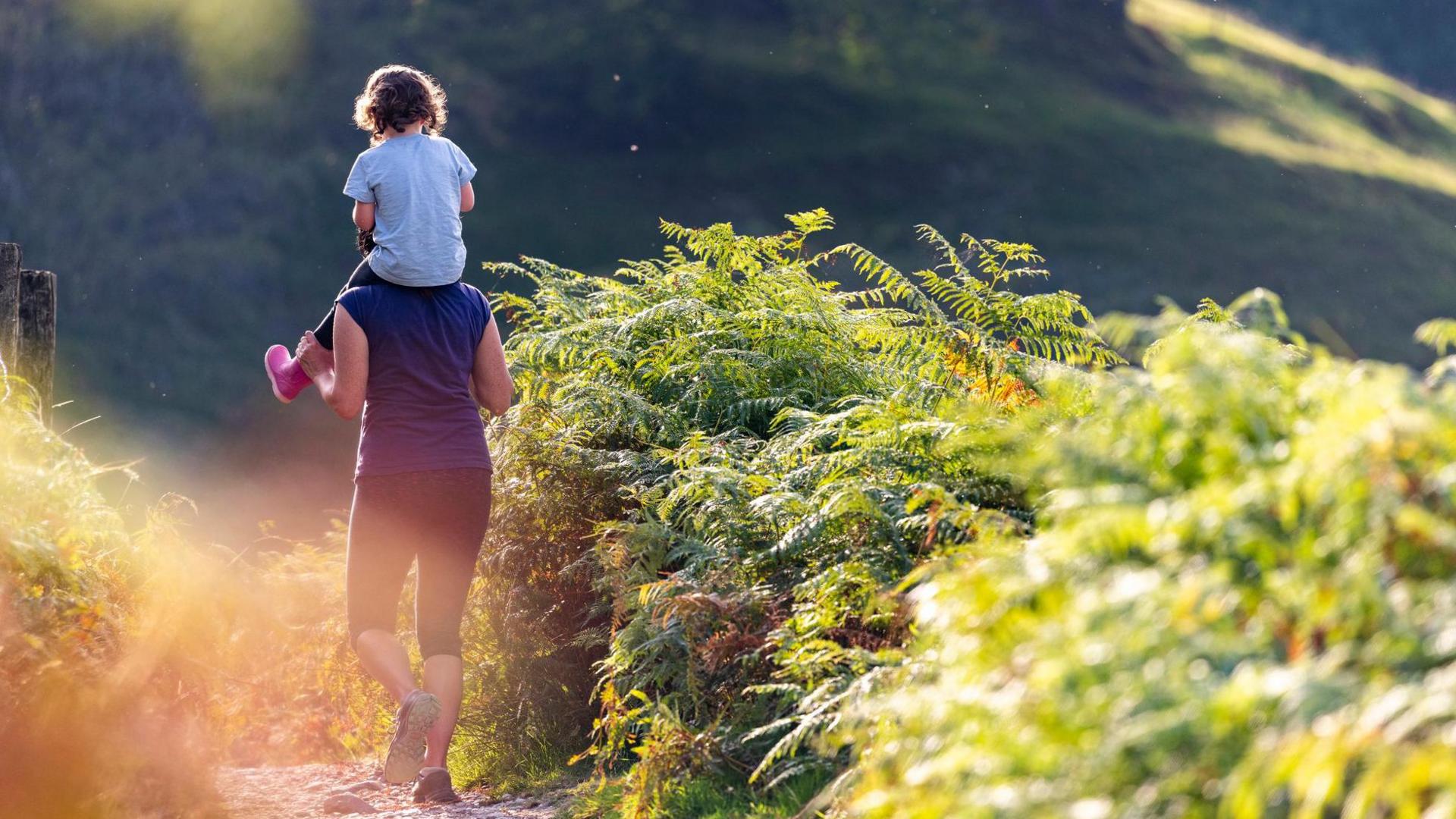 Woman carries child on shoulders along a path flanked by ferns, in the sunshine.