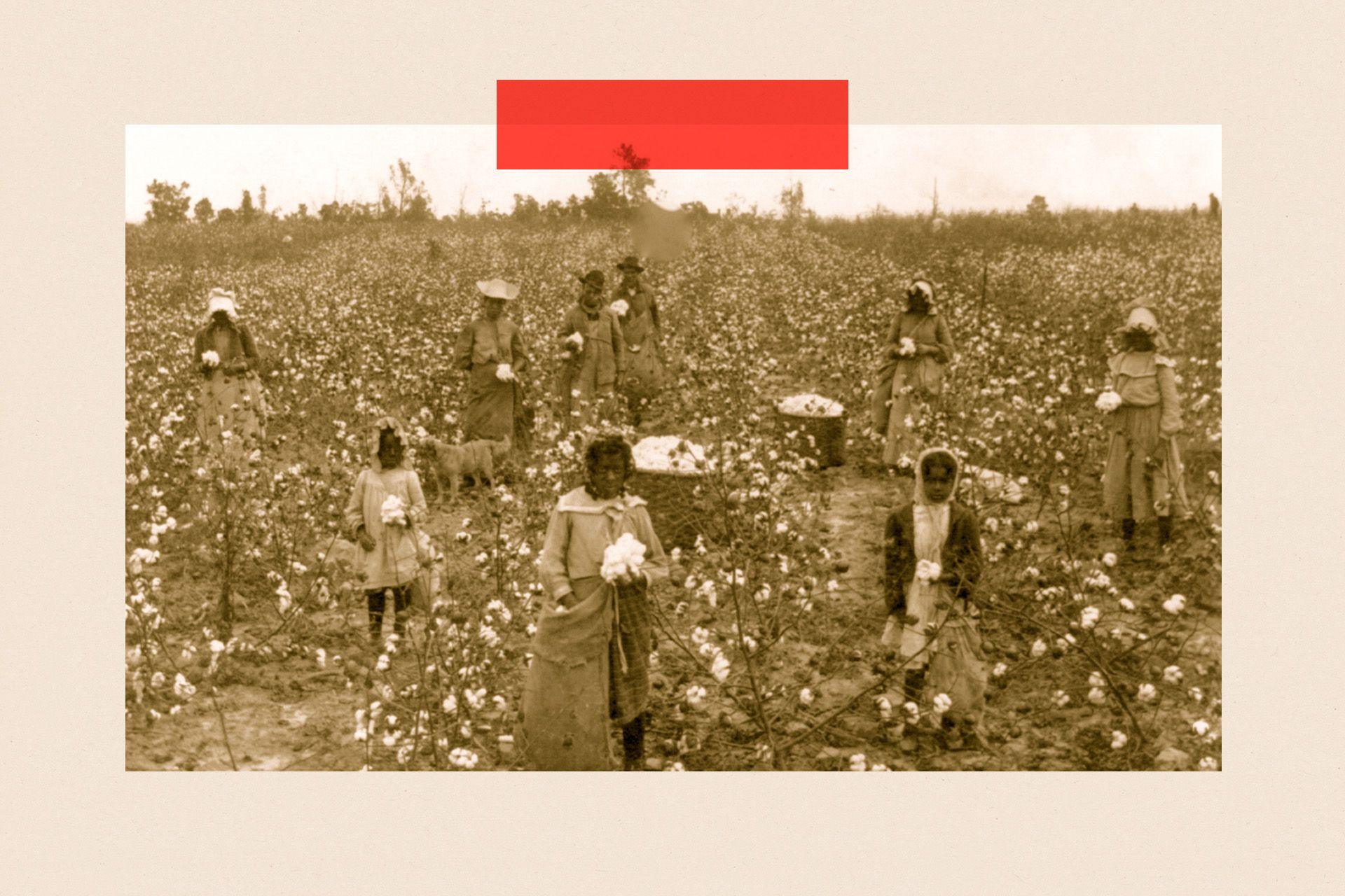 2cd31870-7627-11f1-9510-1546718f668b How the American Dream has survived 250 years, but only just