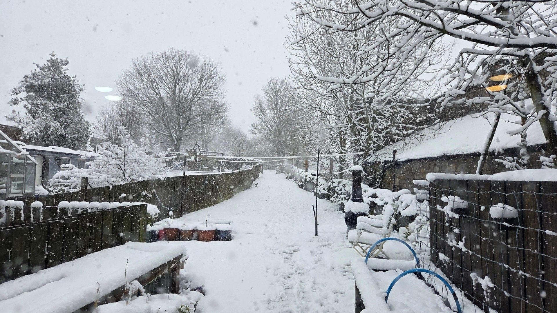 Stone wall at back of a row of gardens with a good covering of snow and trees stretching off into the distance