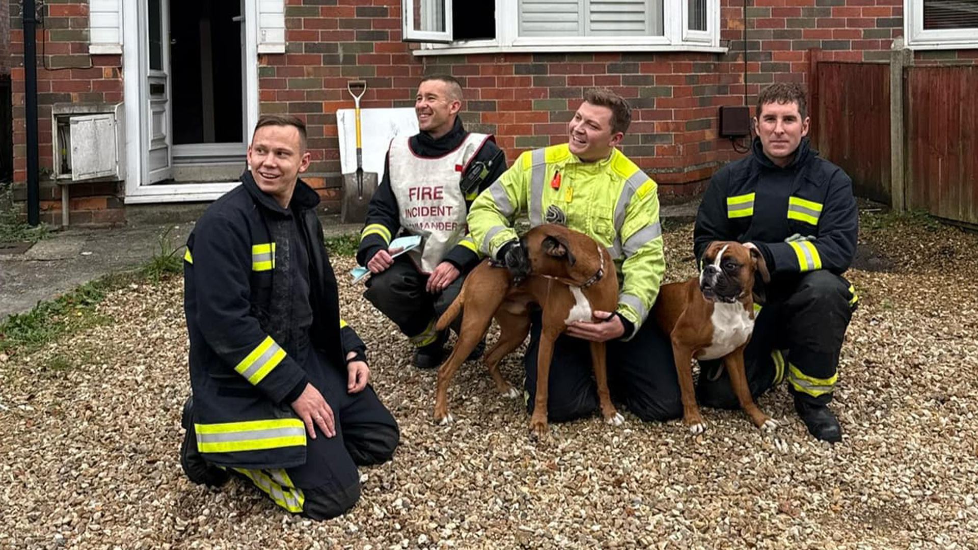 Firefighters kneel outside a home with two dogs