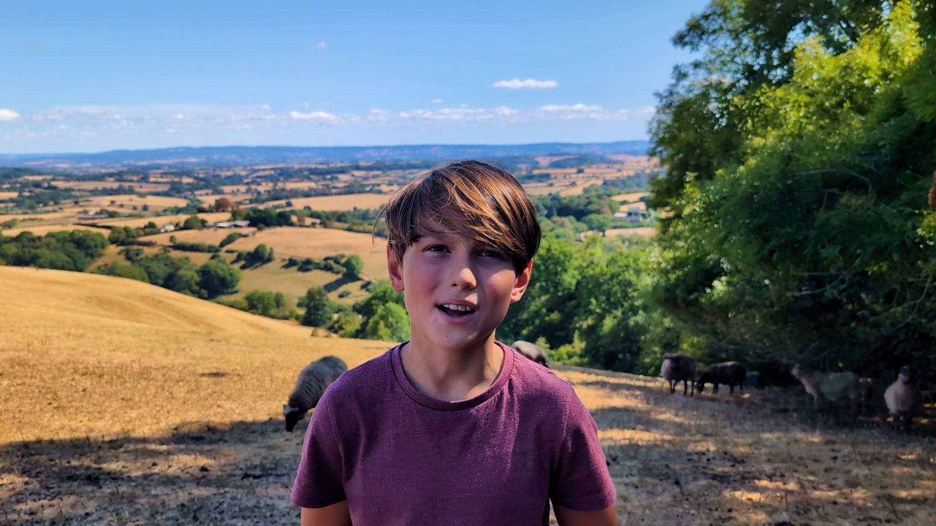 A boy with short brown hair and a purple t-shirt standing in a field in front of sheep.