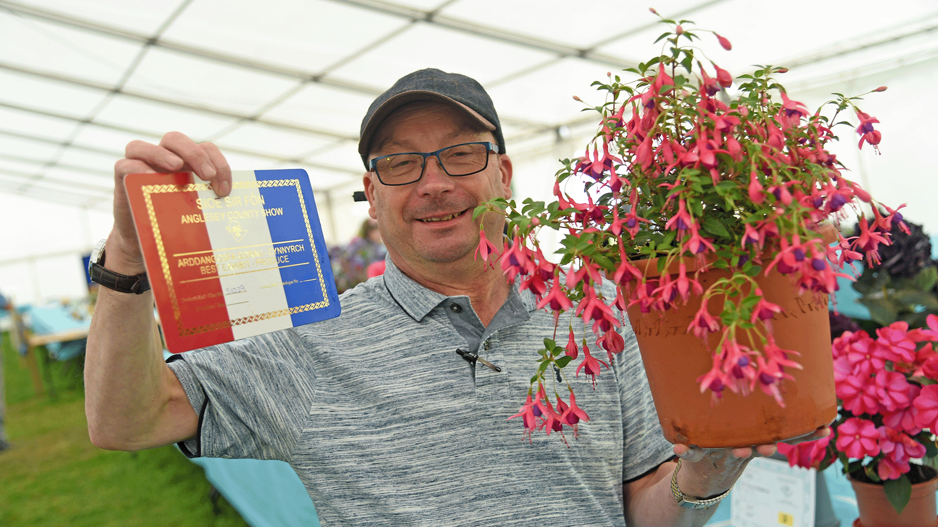 Alun Roberts o Langoed gyda Fuchsia gorau y sioe. Roedd yn ddiwrnod da i Alun a gipiodd wyth o wobrau cyntaf