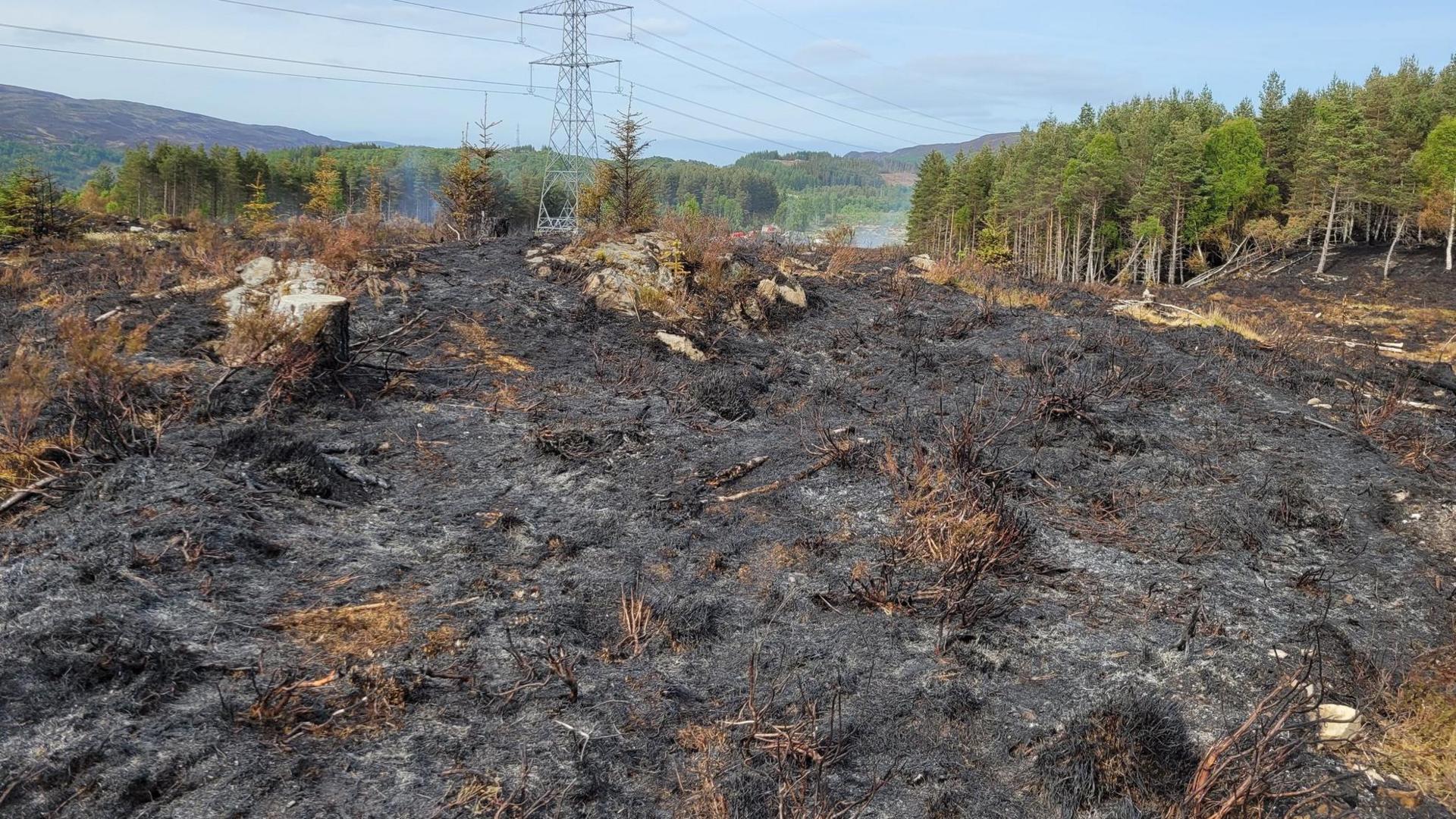 Damage caused by wildfire