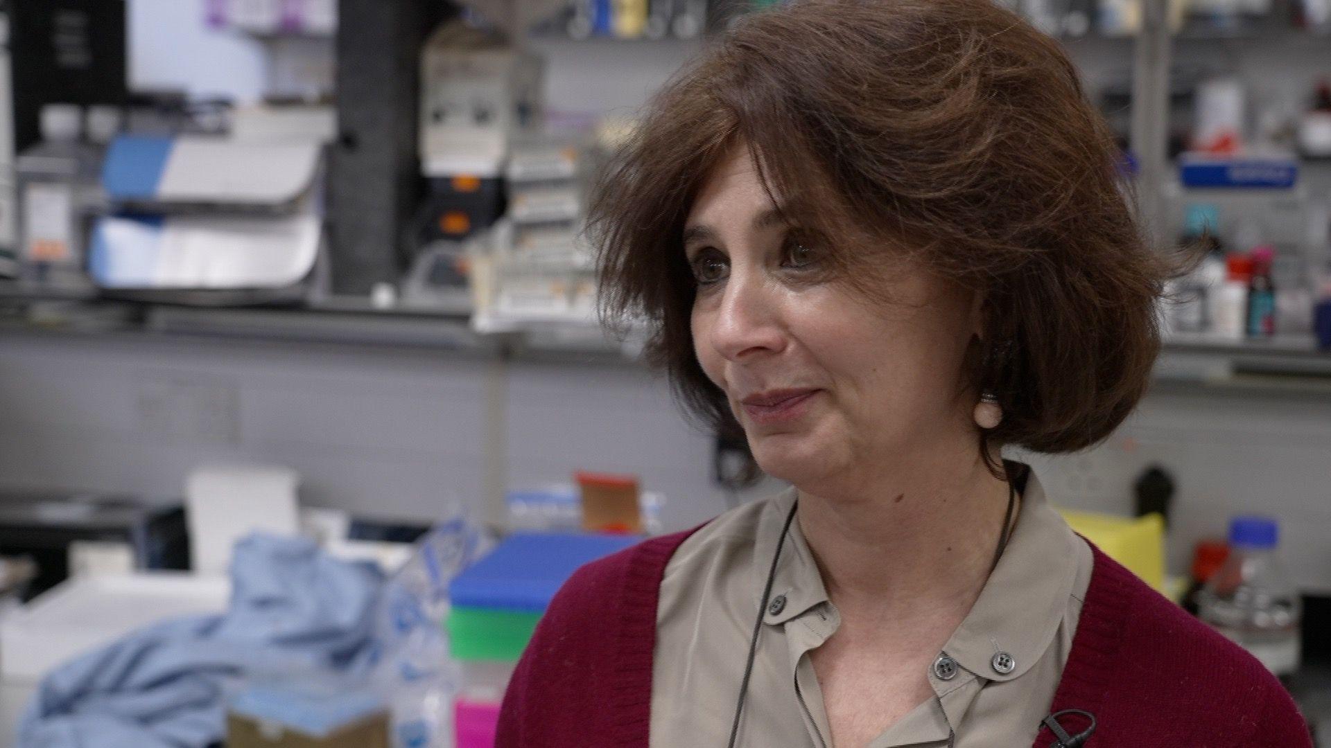 Psychiatrist Dr Marta di Forti in red cardigan and grey/brown blouse in the Kings College London laboratory where research is conducted on the harm caused by cannabis.