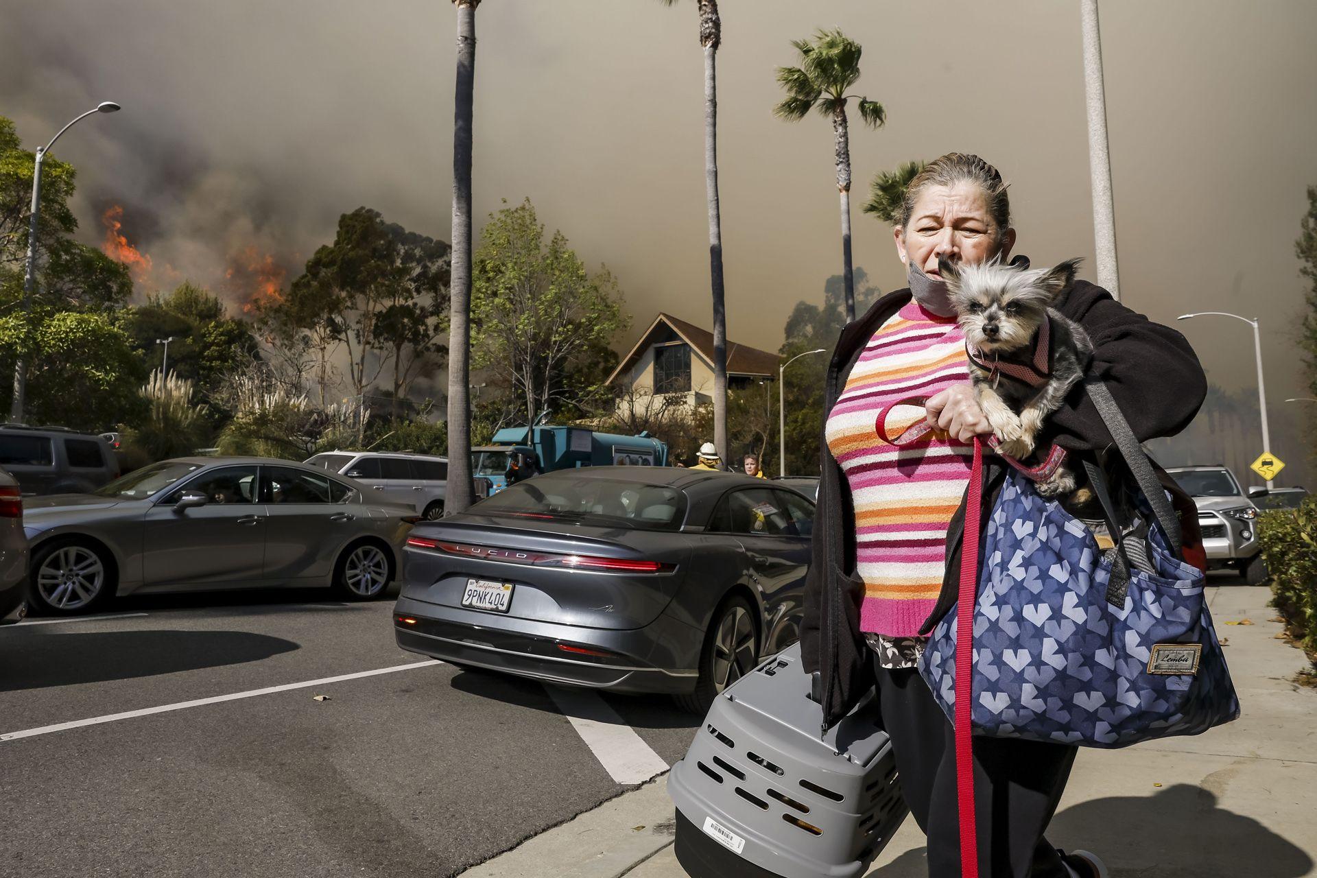 A woman holds her dog and belongings while evacuating, as she walks down a street with fire in the background, in the Pacific Palisades.