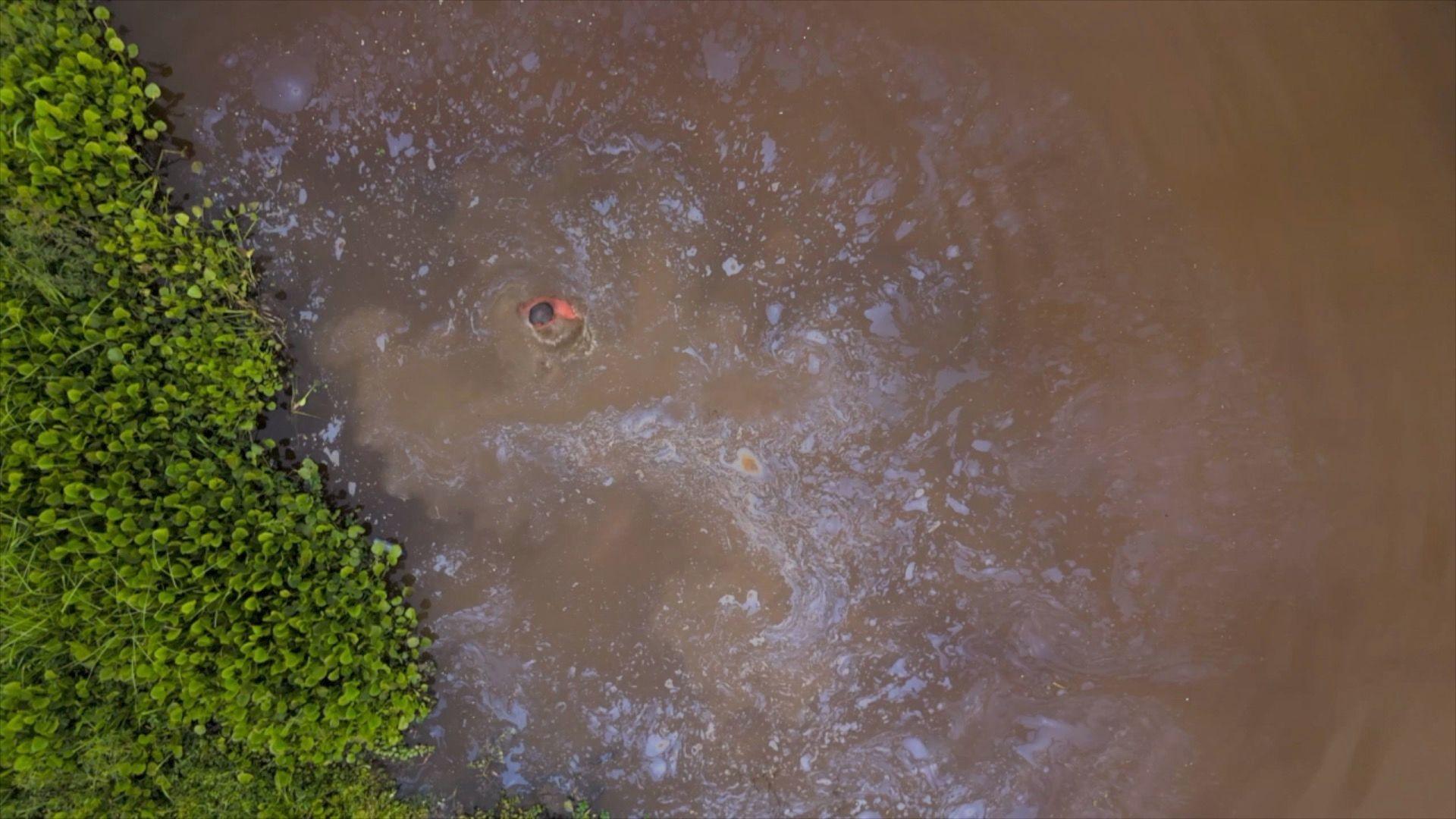 Image taken by drone from above, showing a section of brown water, with a large part of it covered in patches of iridescent film, broken in the middle by the head and shoulders of a man in the water. There is green vegetation on the bank on the left.