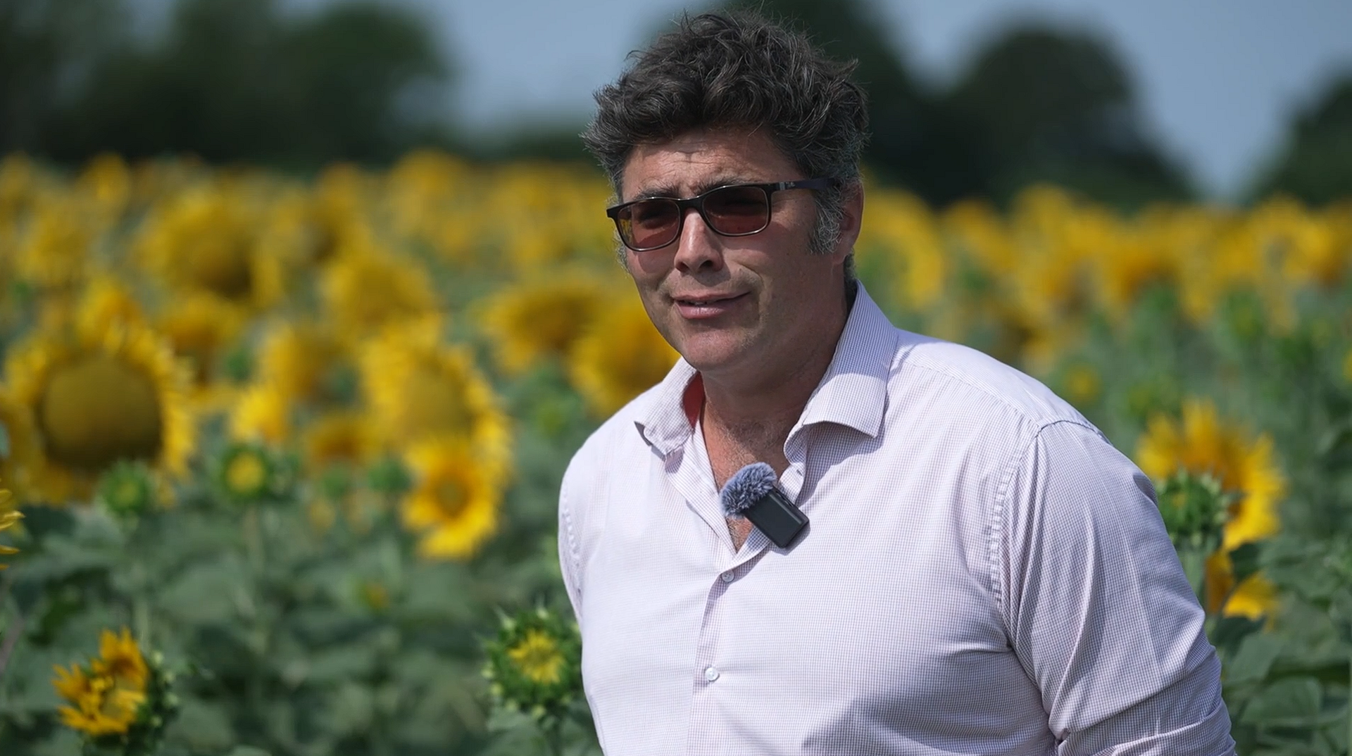 Peter Snell stands in the field of sunflowers as he is interviewed. He has tinted glasses and short messy dark hair. He is wearing a pale lilac, long-sleeved, open collar shirt.