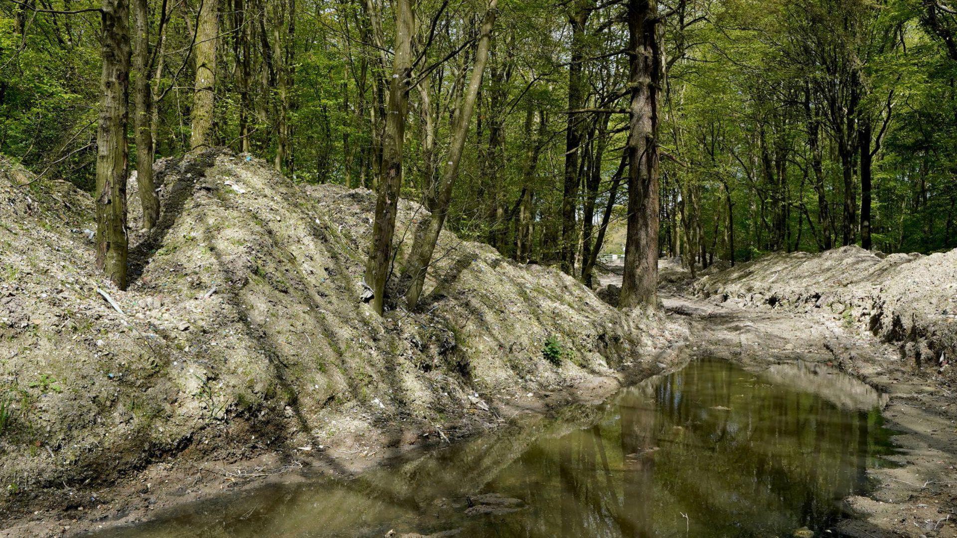 A woodland path with mounds of green and brown sludge piled high around the trees