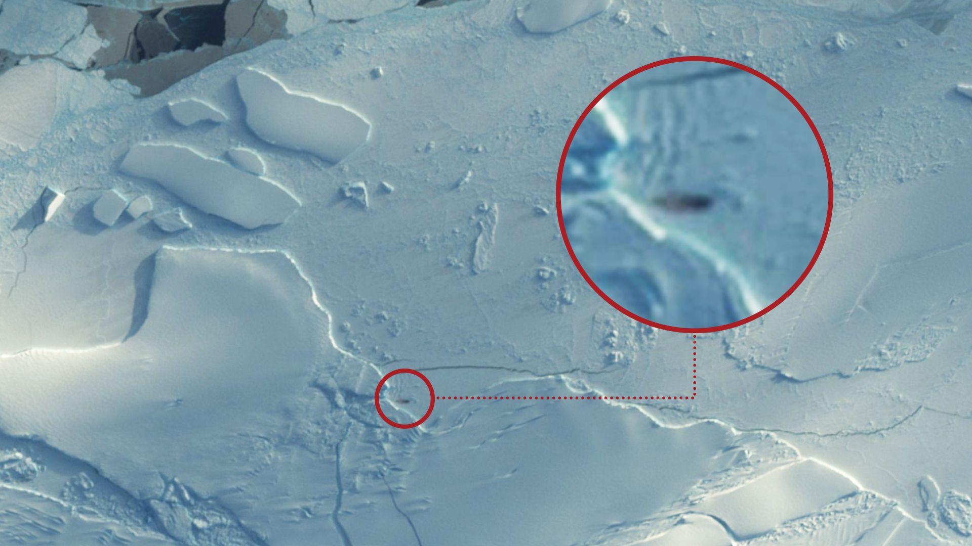 A satellite picture of an ice sheet with a brown smudge which is the penguin colony